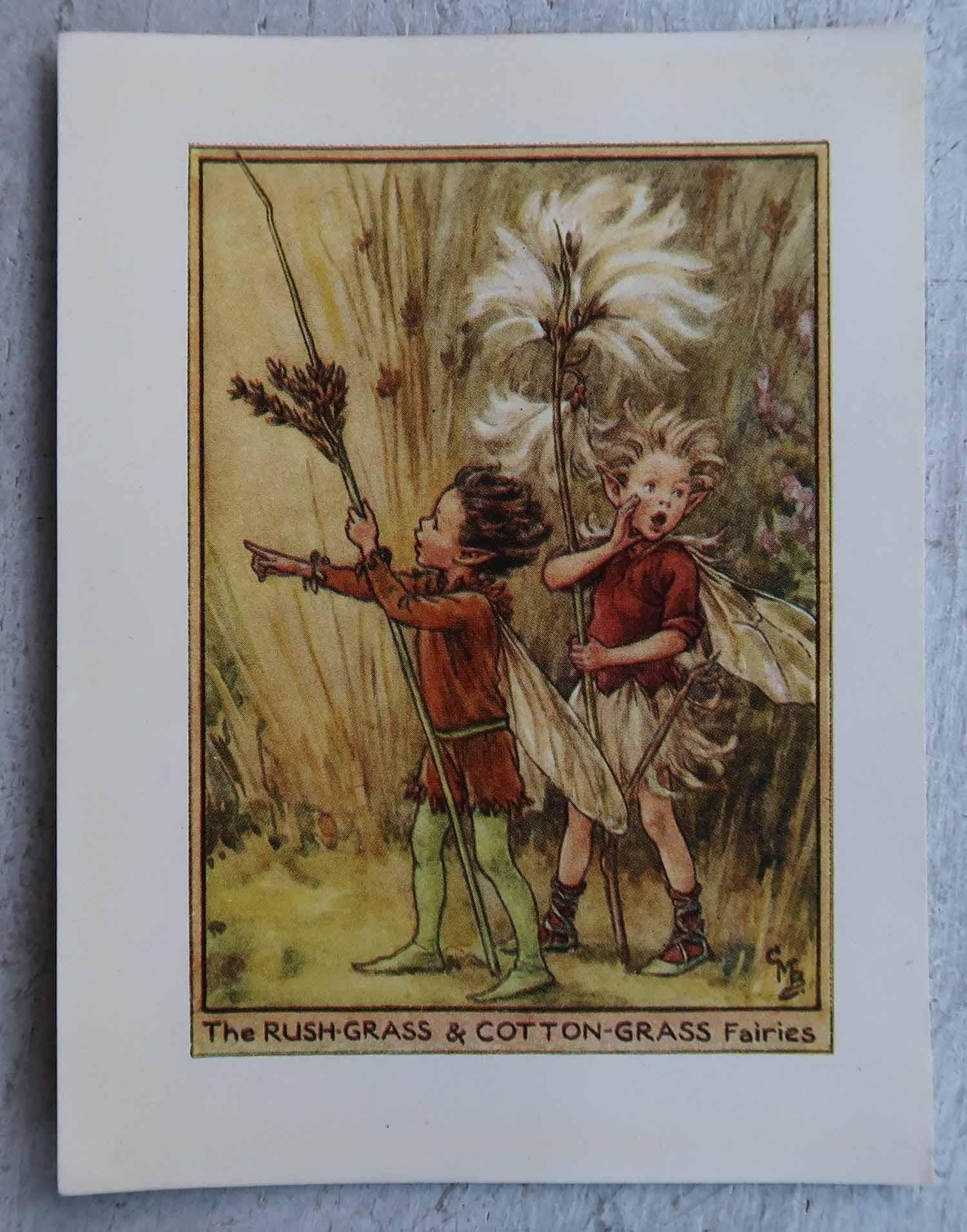 XX secolo Set di 8 stampe originali di fate dei fiori d'epoca, circa 1930 in vendita