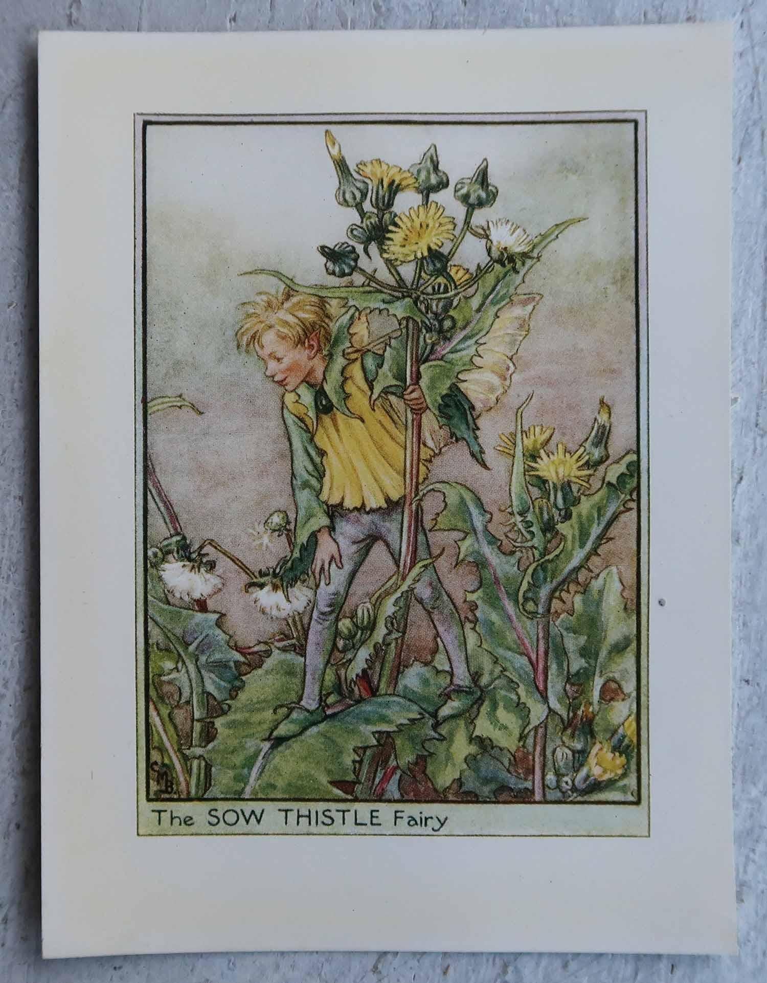 Carta Set di 8 stampe originali di fate dei fiori d'epoca, circa 1930 in vendita