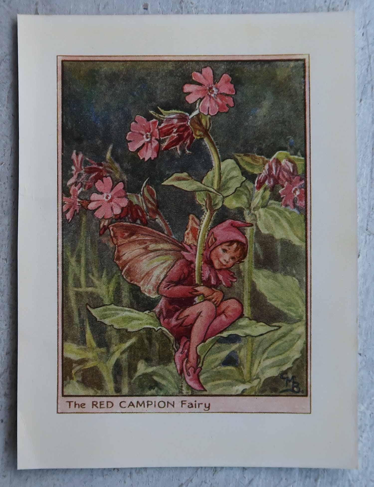 Set di 8 stampe originali di fate dei fiori d'epoca, circa 1930 in vendita 2