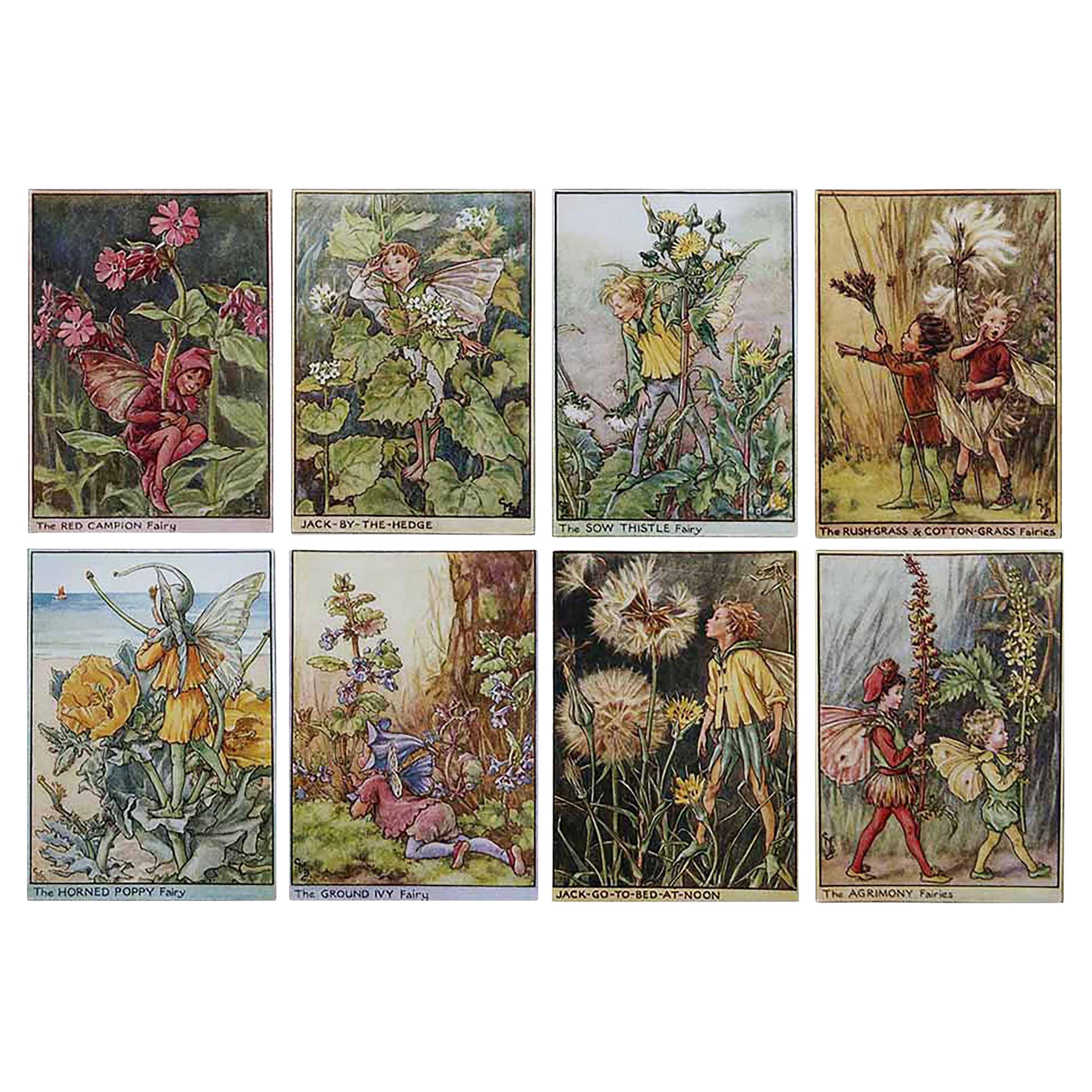 Set di 8 stampe originali di fate dei fiori d
epoca, circa 1930 in vendita