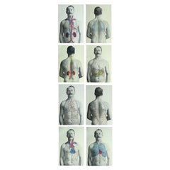 Set of 8 Original Antique Medical Prints, C.1900