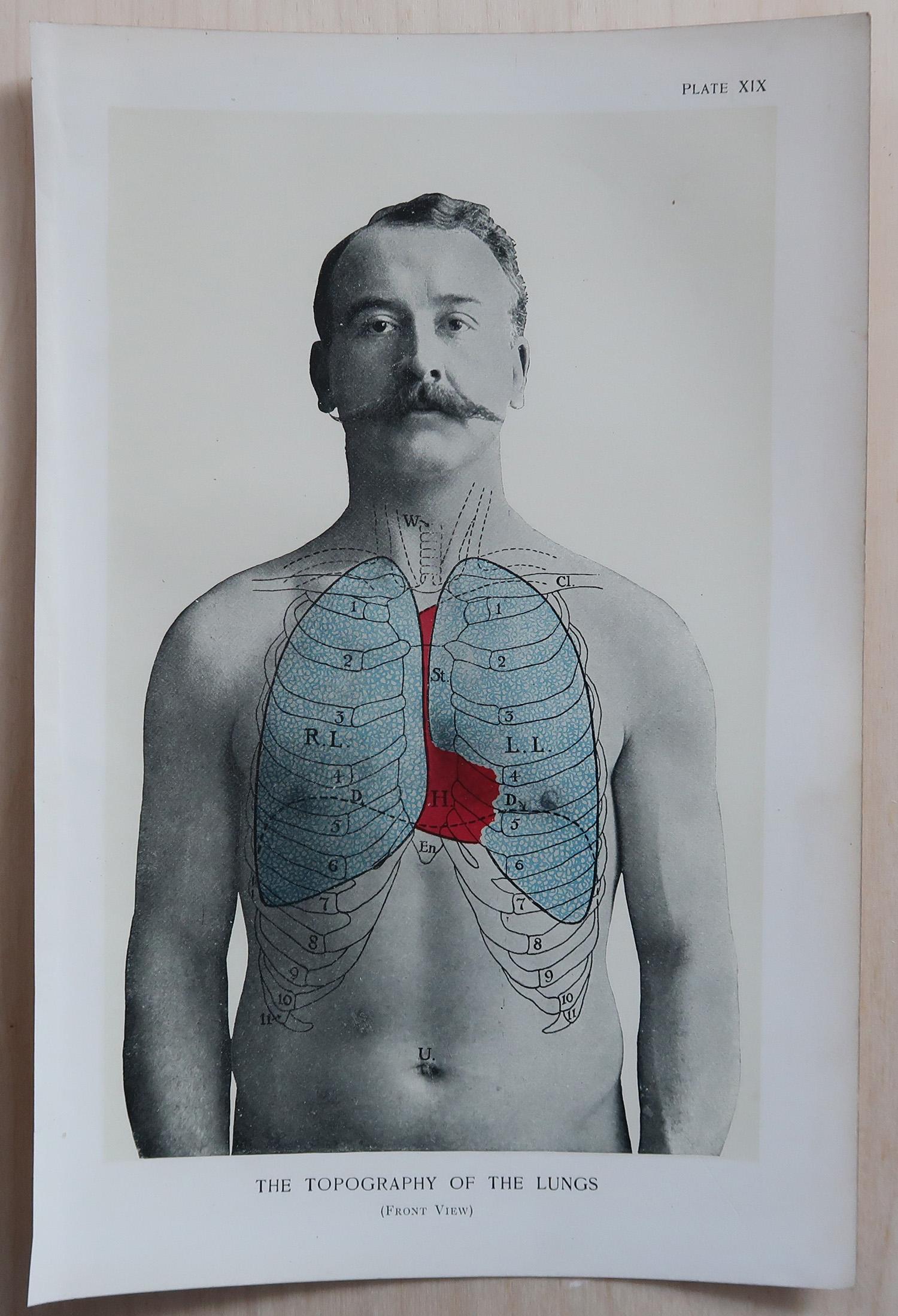 Favoloso set di 8 stampe mediche figurative.

Senza cornice.

Pubblicato, intorno al 1900.

La misura indicata di seguito si riferisce a una delle stampe.

Spedizione gratuita



