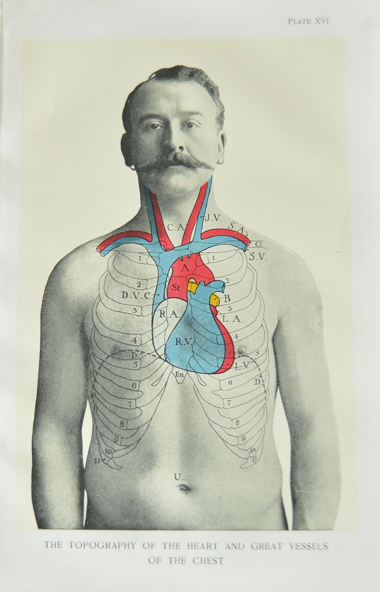 Set of 8 Original Vintage Medical Prints at 1stDibs