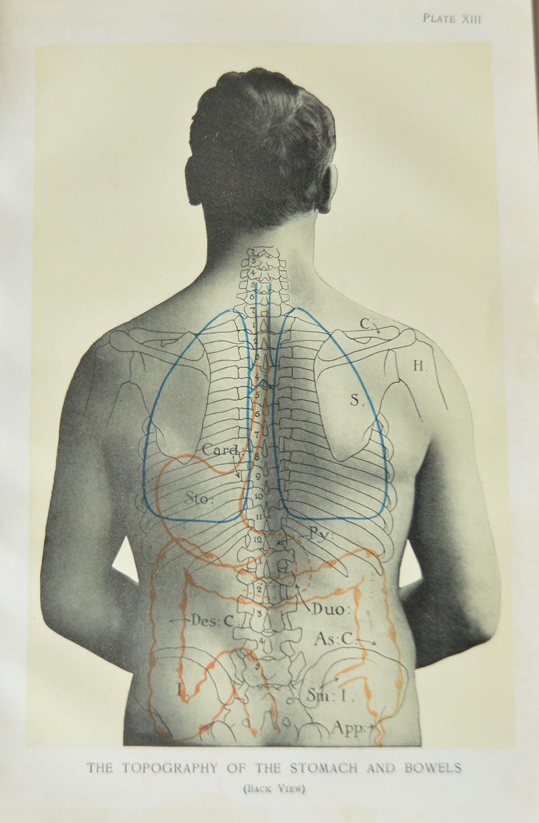 Set of 8 Original Vintage Medical Prints For Sale at 1stdibs