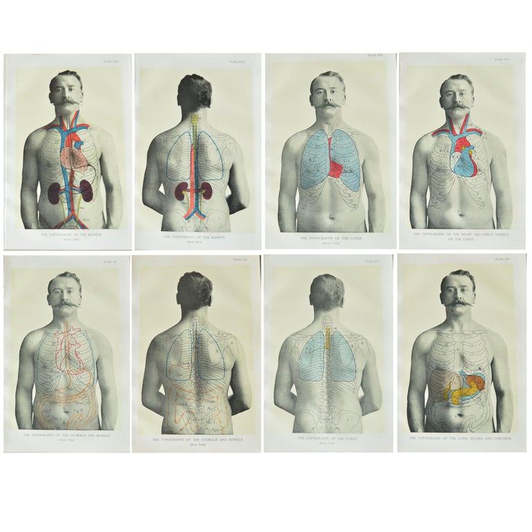 Set of 8 Original Vintage Medical Prints at 1stDibs