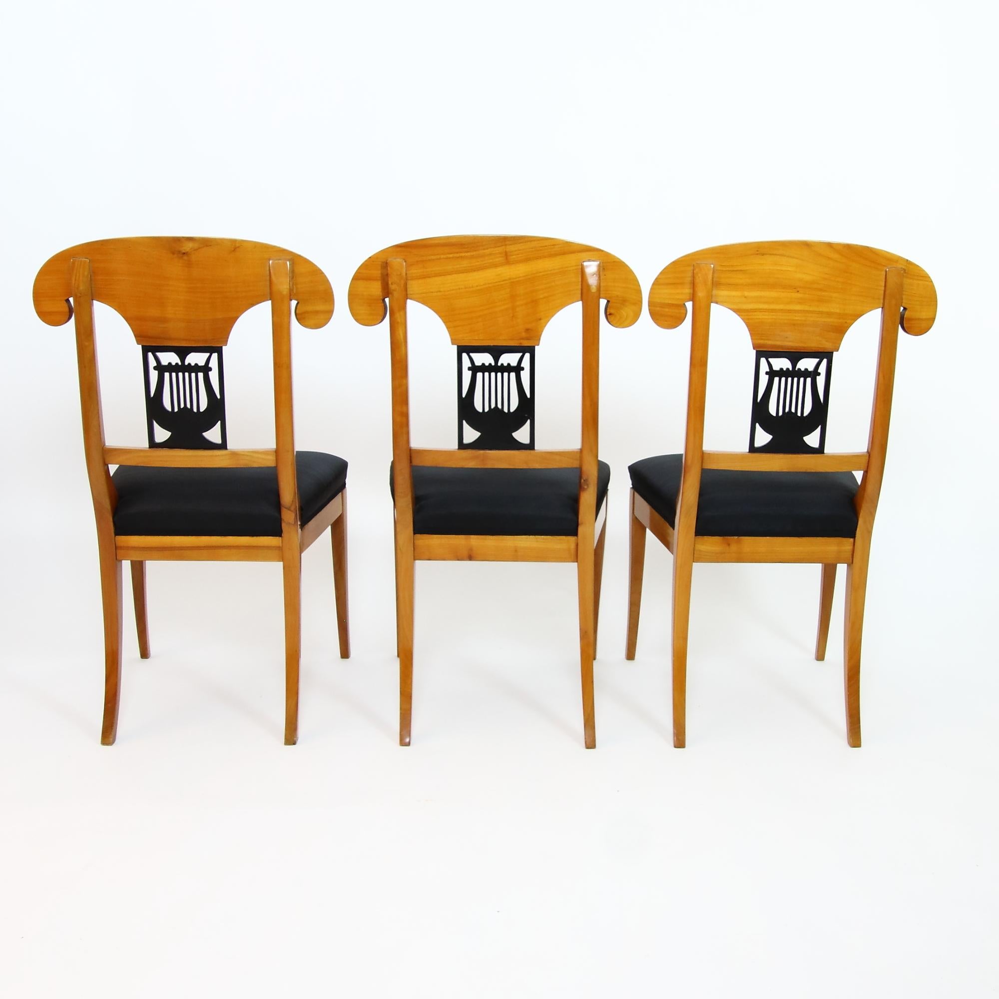 Ebonized Set of 8 Partially Early 19th German Biedermeier Saxe-Coburg Provenance Chairs For Sale