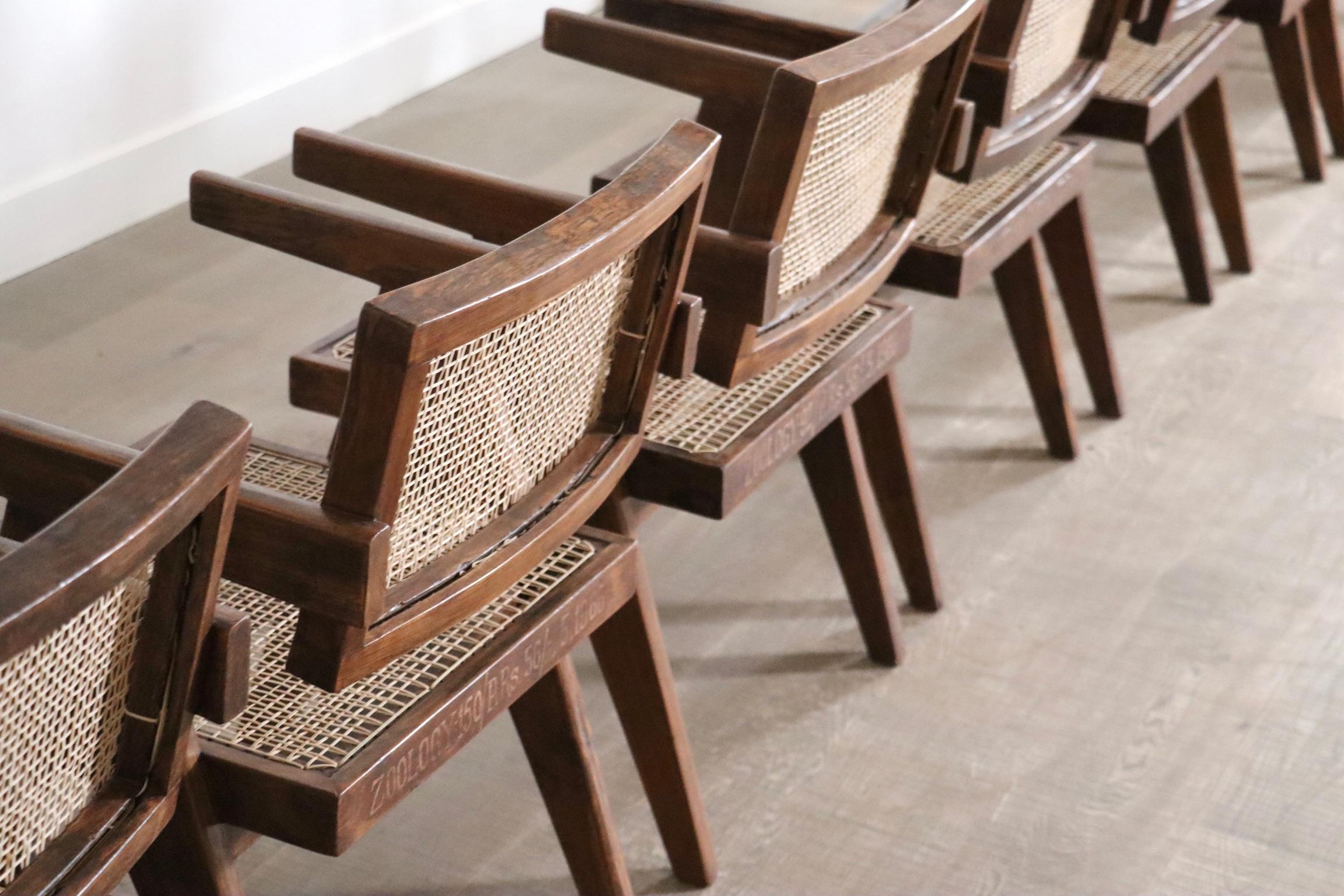 Satz von 8 Pierre Jeanneret Bürorohrstühlen, Indien 1950er Jahre im Angebot 8