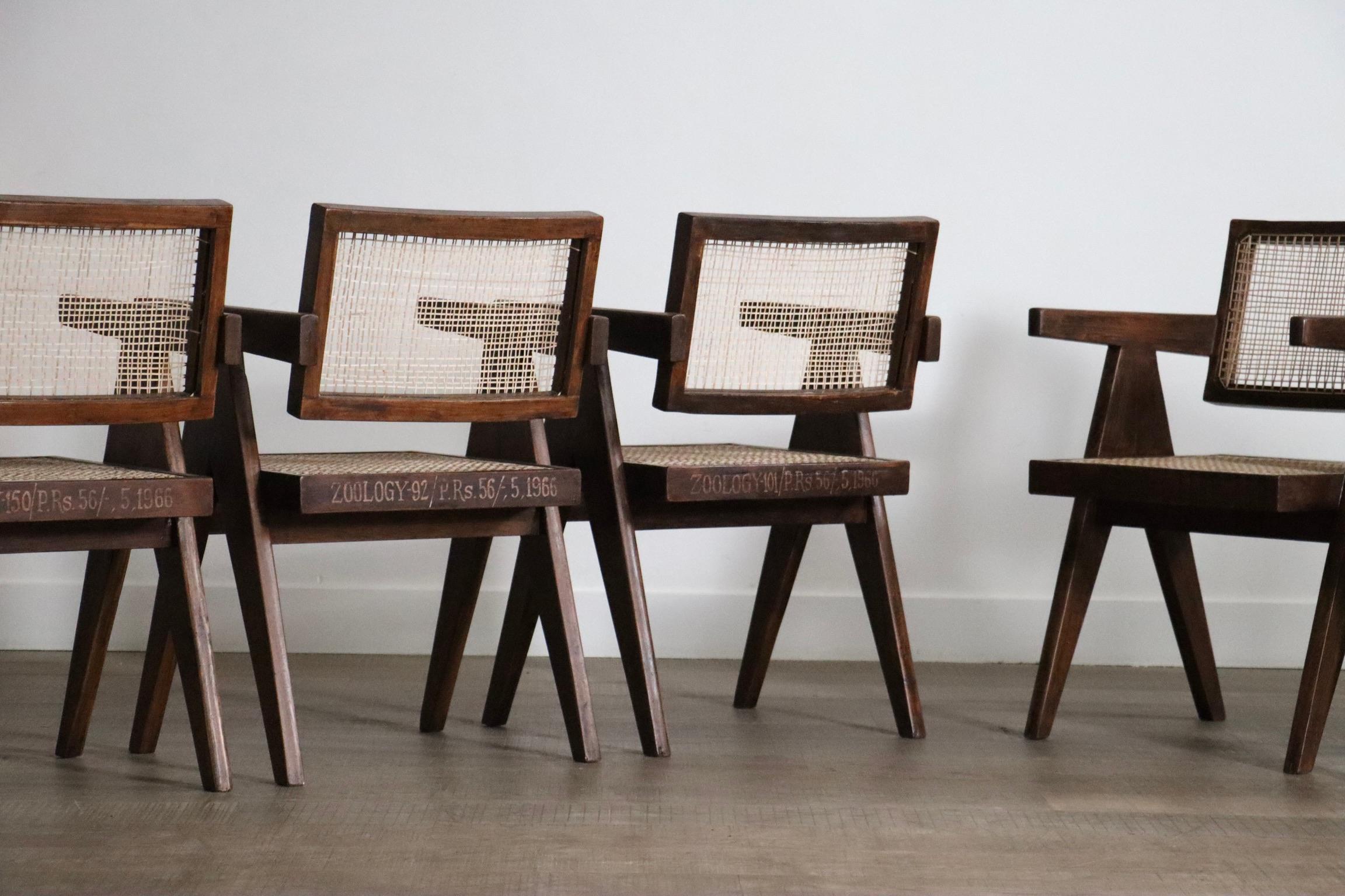 Satz von 8 Pierre Jeanneret Bürorohrstühlen, Indien 1950er Jahre im Angebot 4
