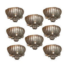 Set of 5 Plaster Shell Sconces, Sold per Pair