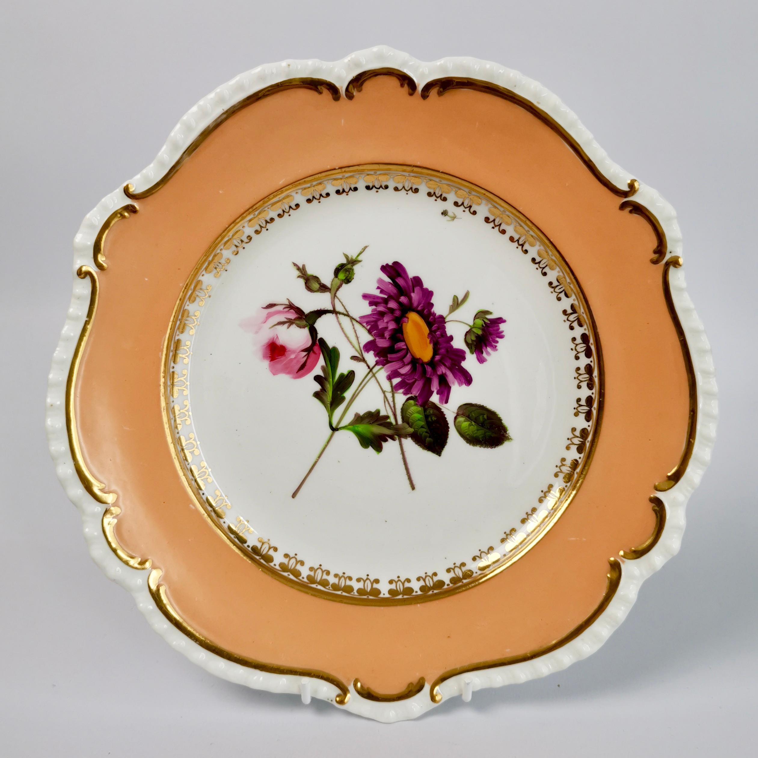 Set of 8 Plates Coalport, Peach with Flowers, Porcelain Regency 1820-1825 4