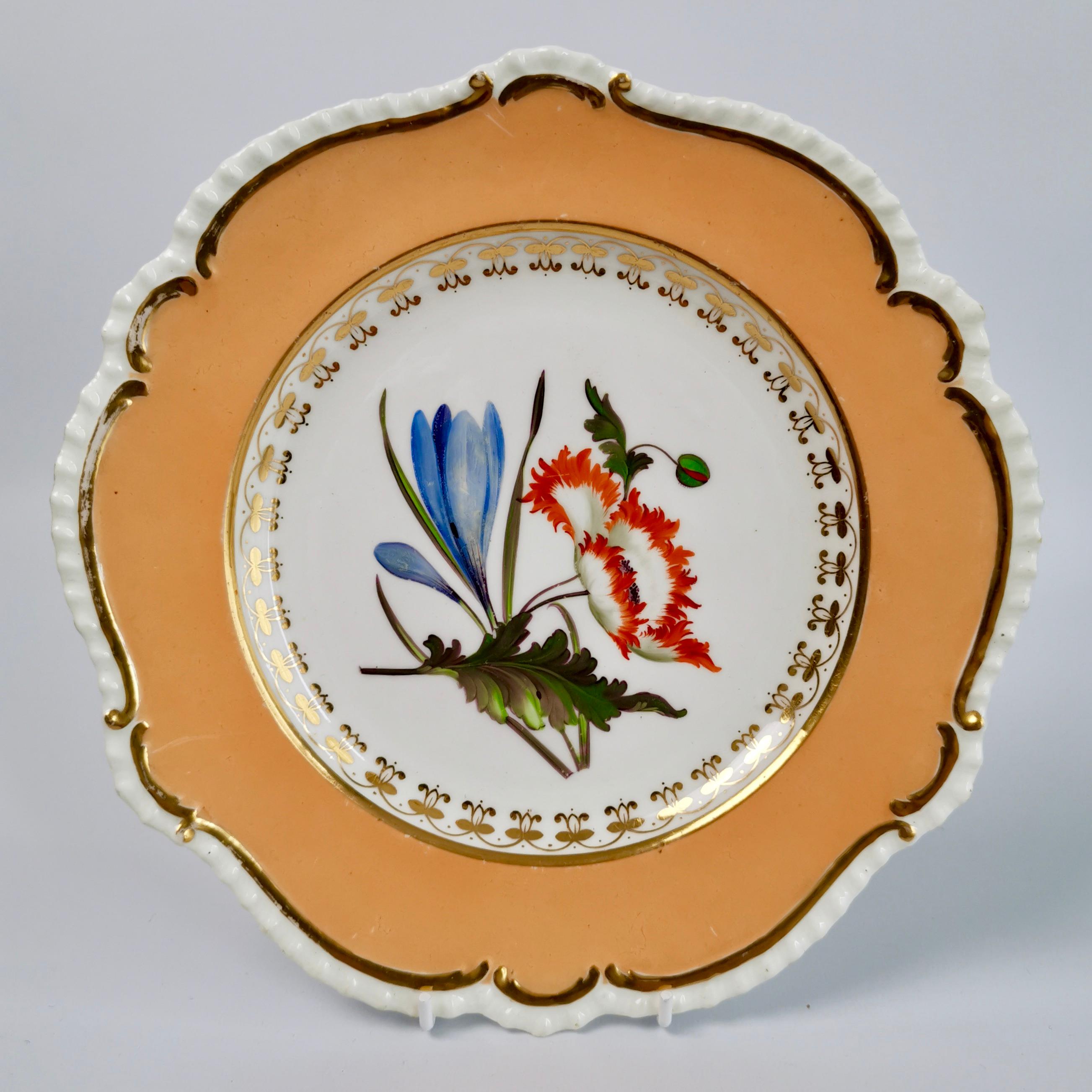 English Set of 8 Plates Coalport, Peach with Flowers, Porcelain Regency 1820-1825