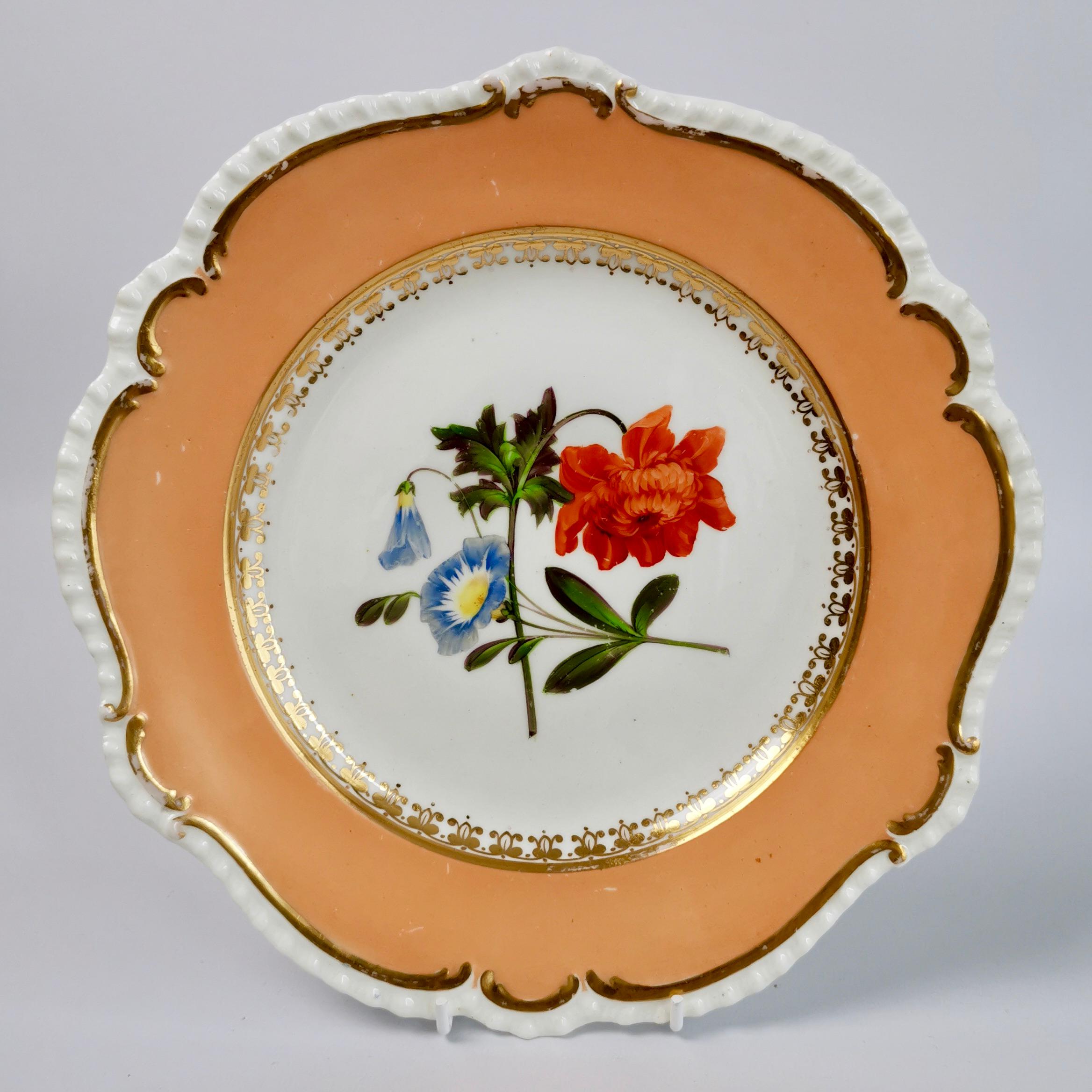 Set of 8 Plates Coalport, Peach with Flowers, Porcelain Regency 1820-1825 In Good Condition In London, GB