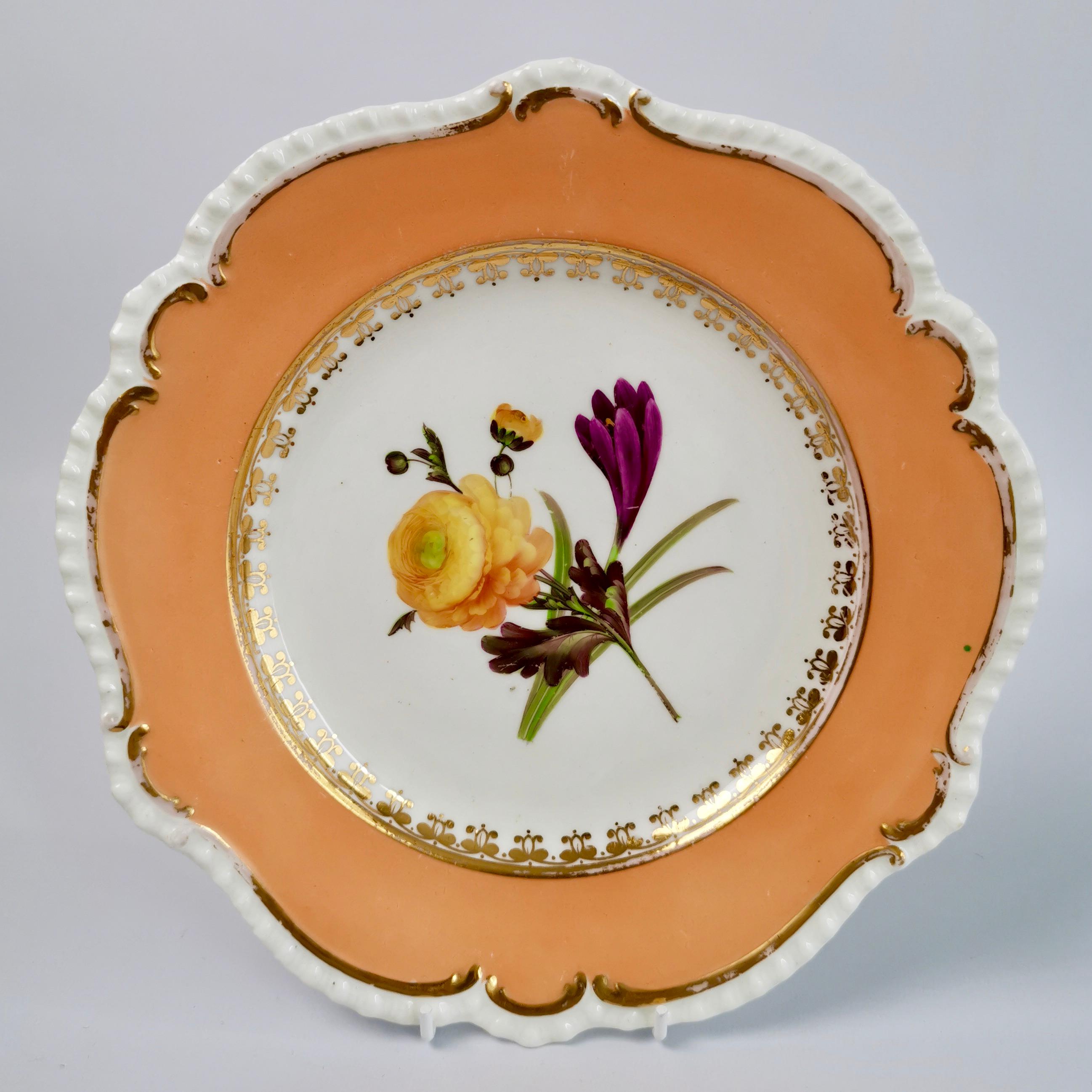 Early 19th Century Set of 8 Plates Coalport, Peach with Flowers, Porcelain Regency 1820-1825