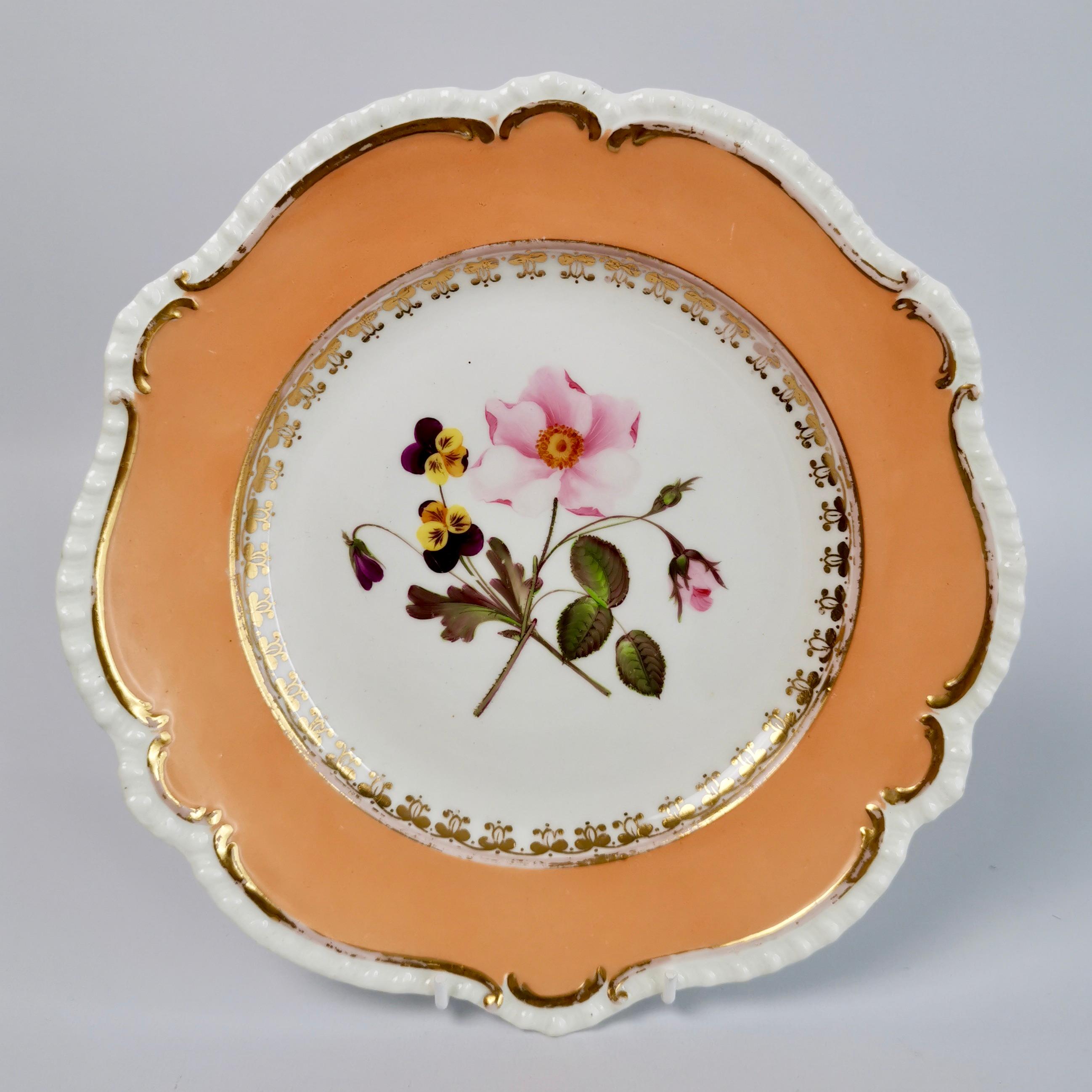 Set of 8 Plates Coalport, Peach with Flowers, Porcelain Regency 1820-1825 1