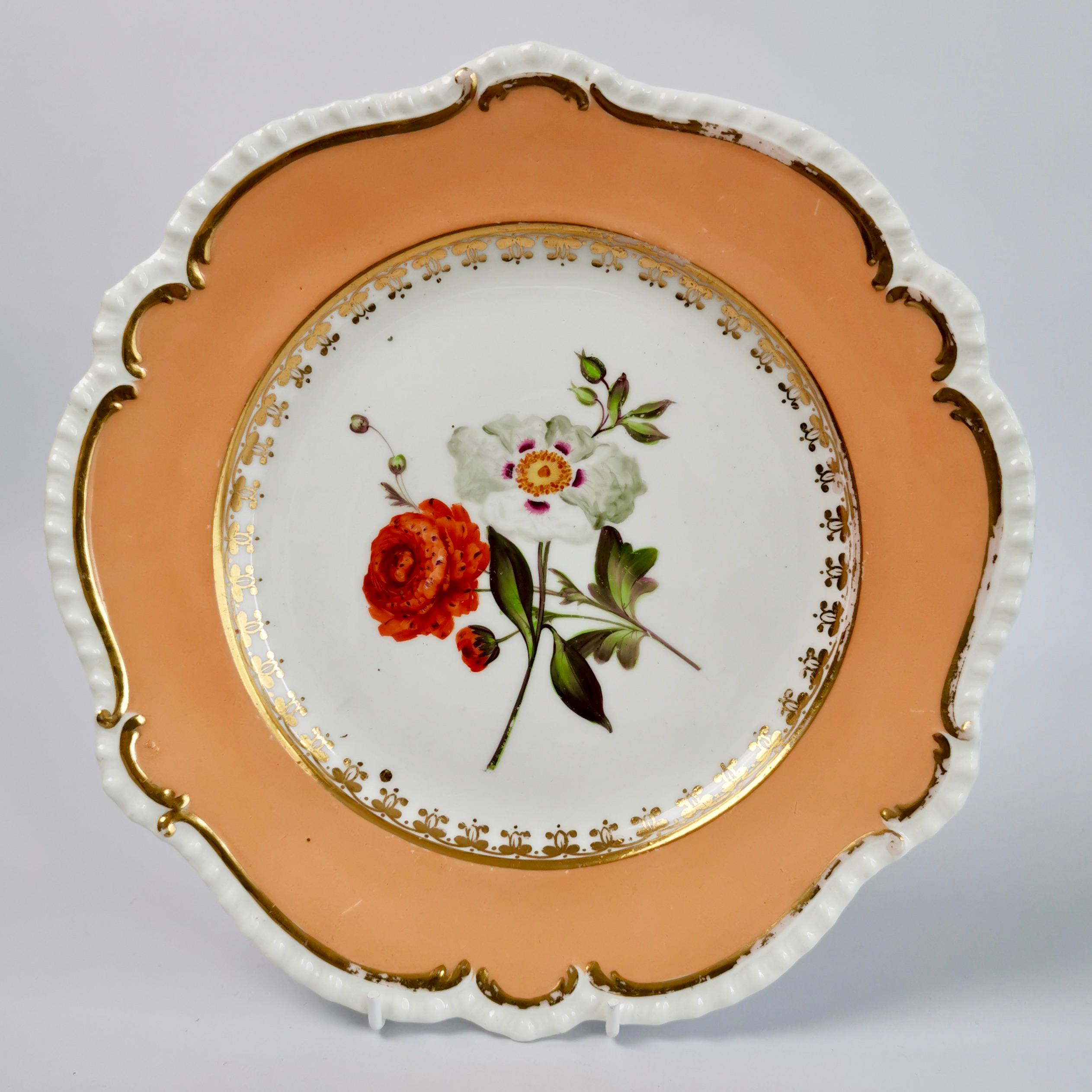 Set of 8 Plates Coalport, Peach with Flowers, Porcelain Regency 1820-1825 2