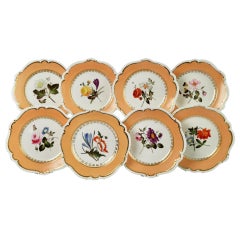 Set of 8 Plates Coalport, Peach with Flowers, Porcelain Regency 1820-1825