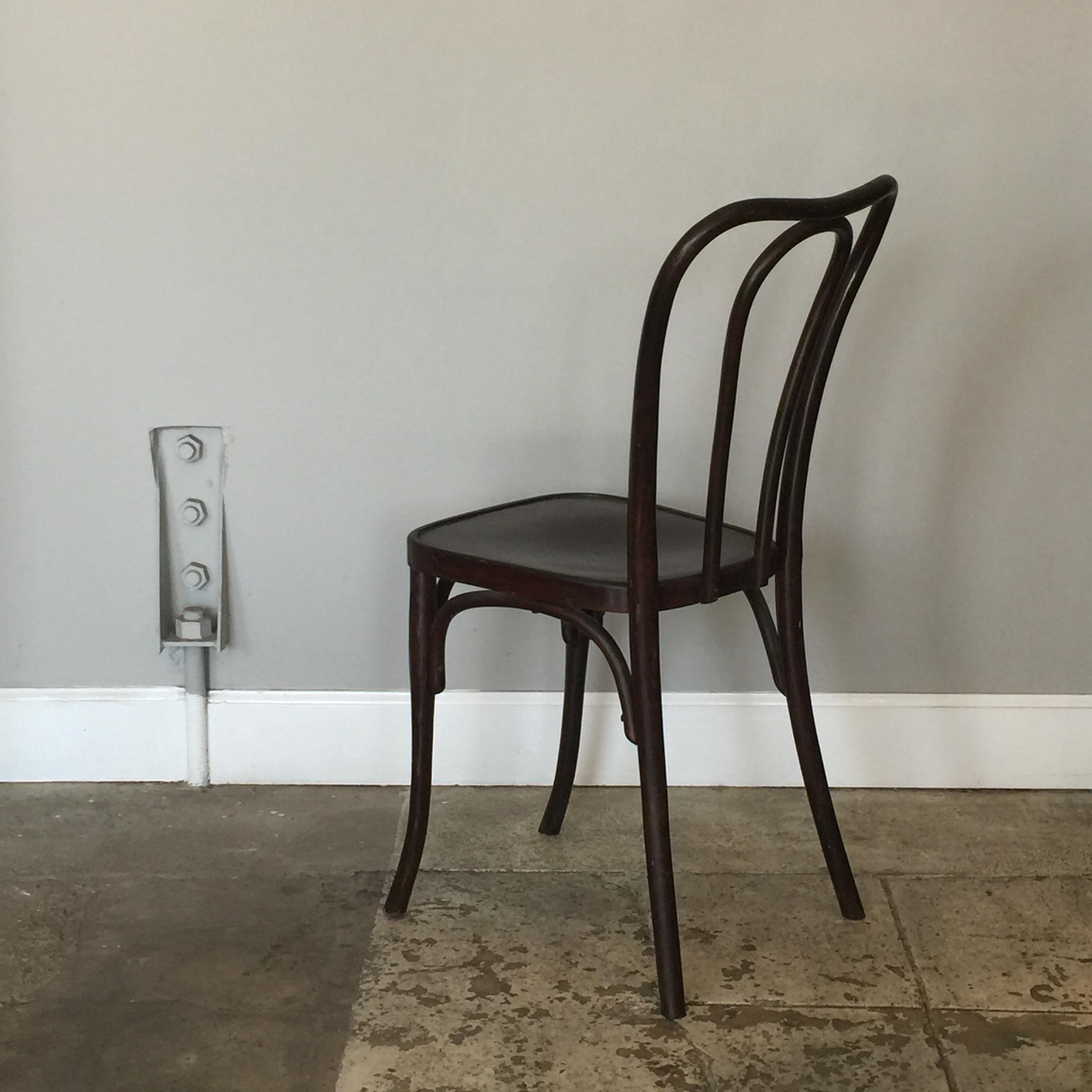 Satz von 8 seltenen Wojciechów Thonet Stühlen (Polnisch) im Angebot