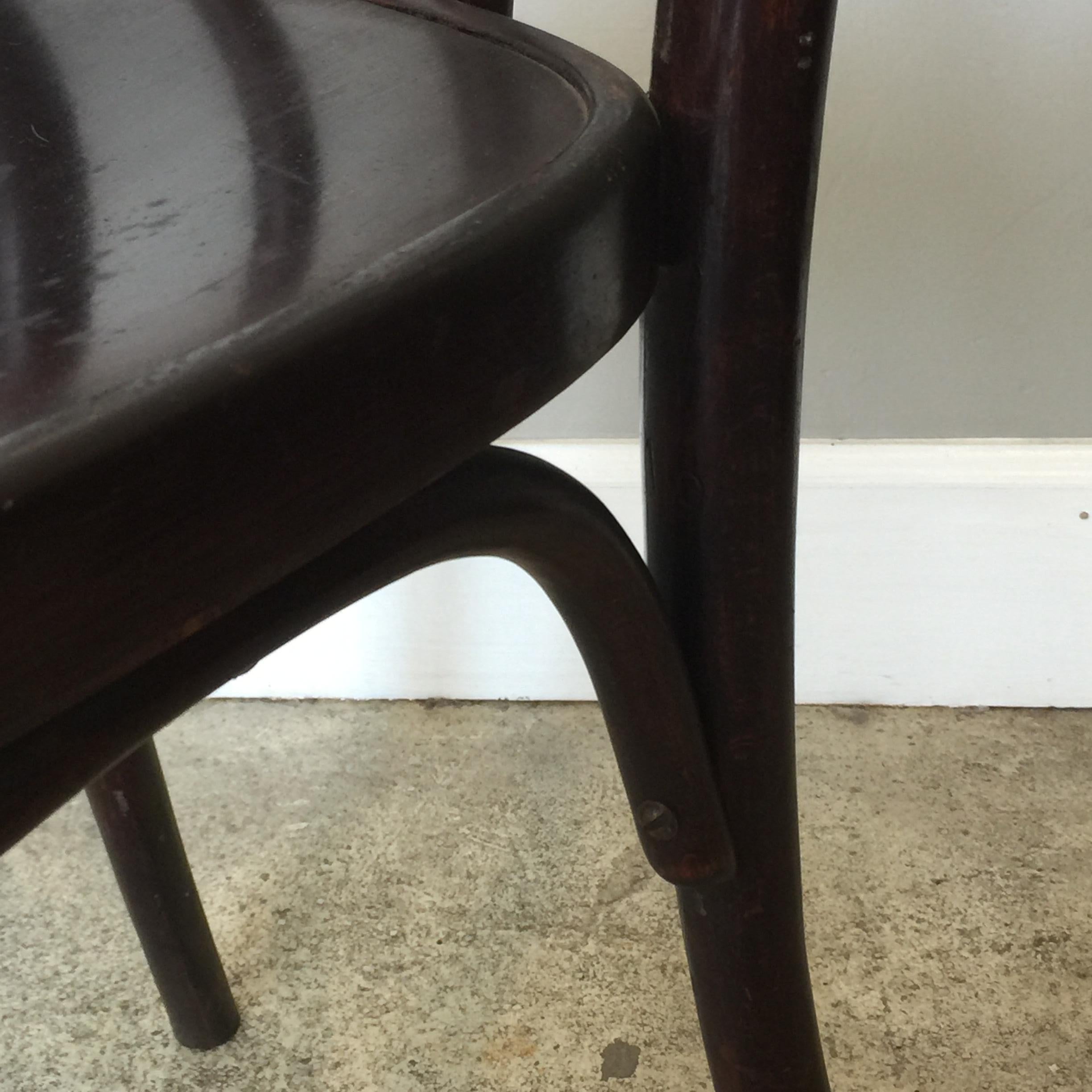 Satz von 8 seltenen Wojciechów Thonet Stühlen (Frühes 20. Jahrhundert) im Angebot