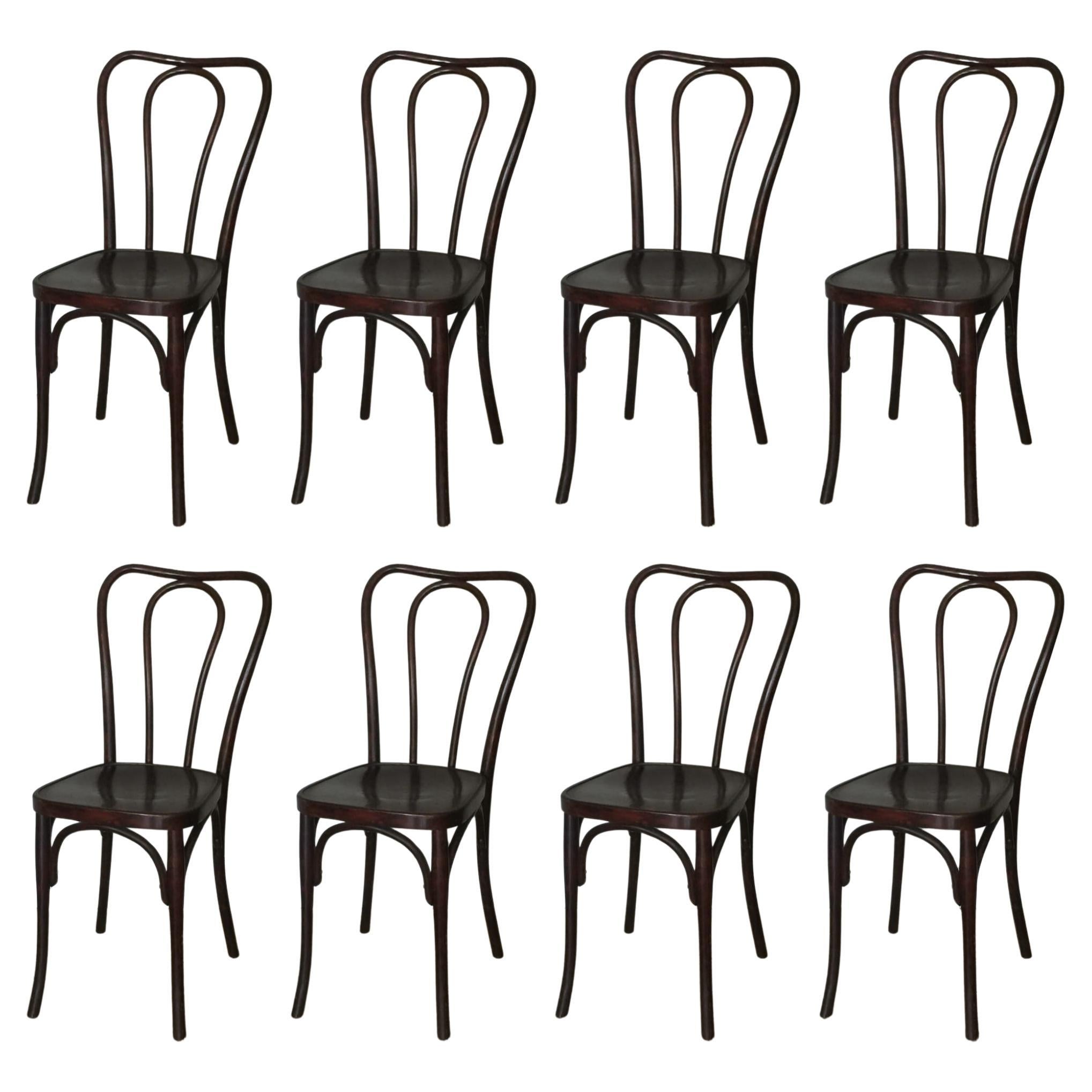 Ensemble de 8 rares chaises Thonet de Wojciechów