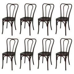 Set of 8 Rare Wojciechów Thonet Chairs