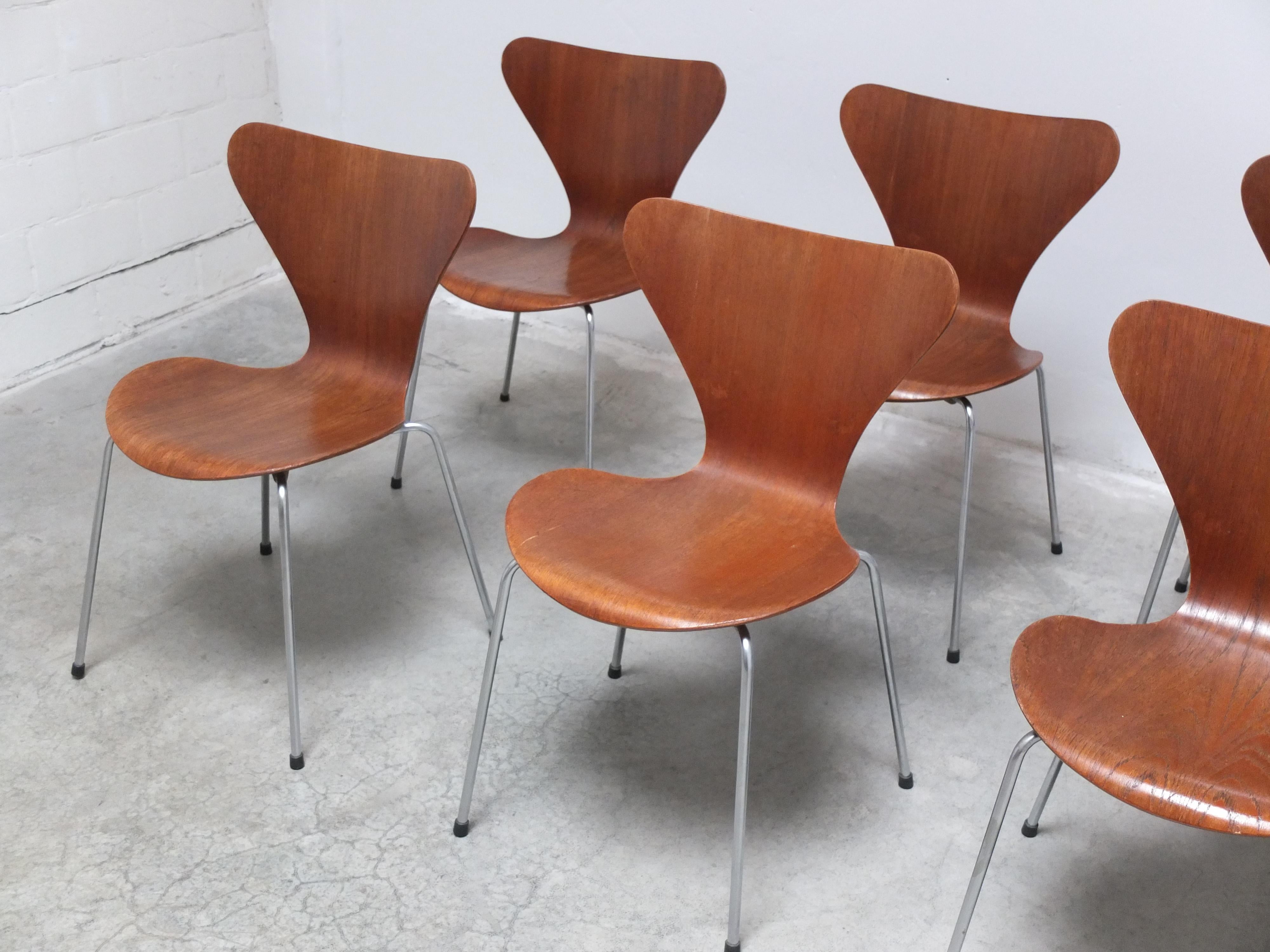 Set of 8 'Series 7' Chairs in Teak by Arne Jacobsen for Fritz Hansen, 1955 In Good Condition In Antwerpen, VAN