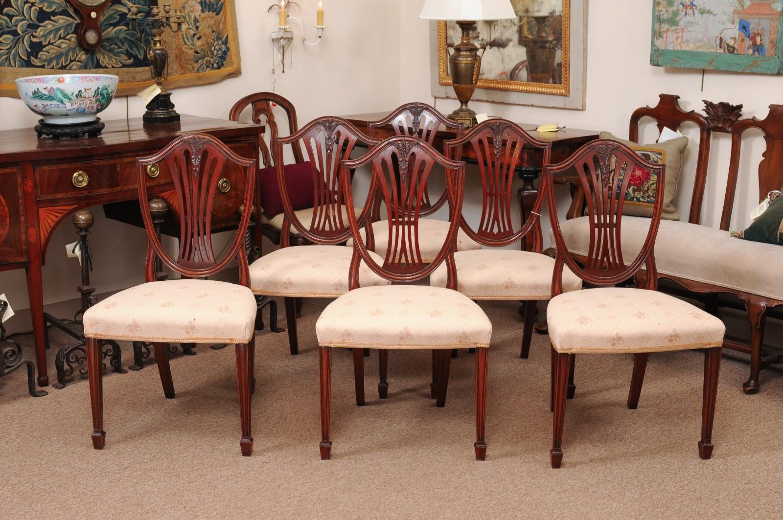 Set of 8 Sheraton Style Mahogany Shield Back Dining Chairs, Early 20th Century 6