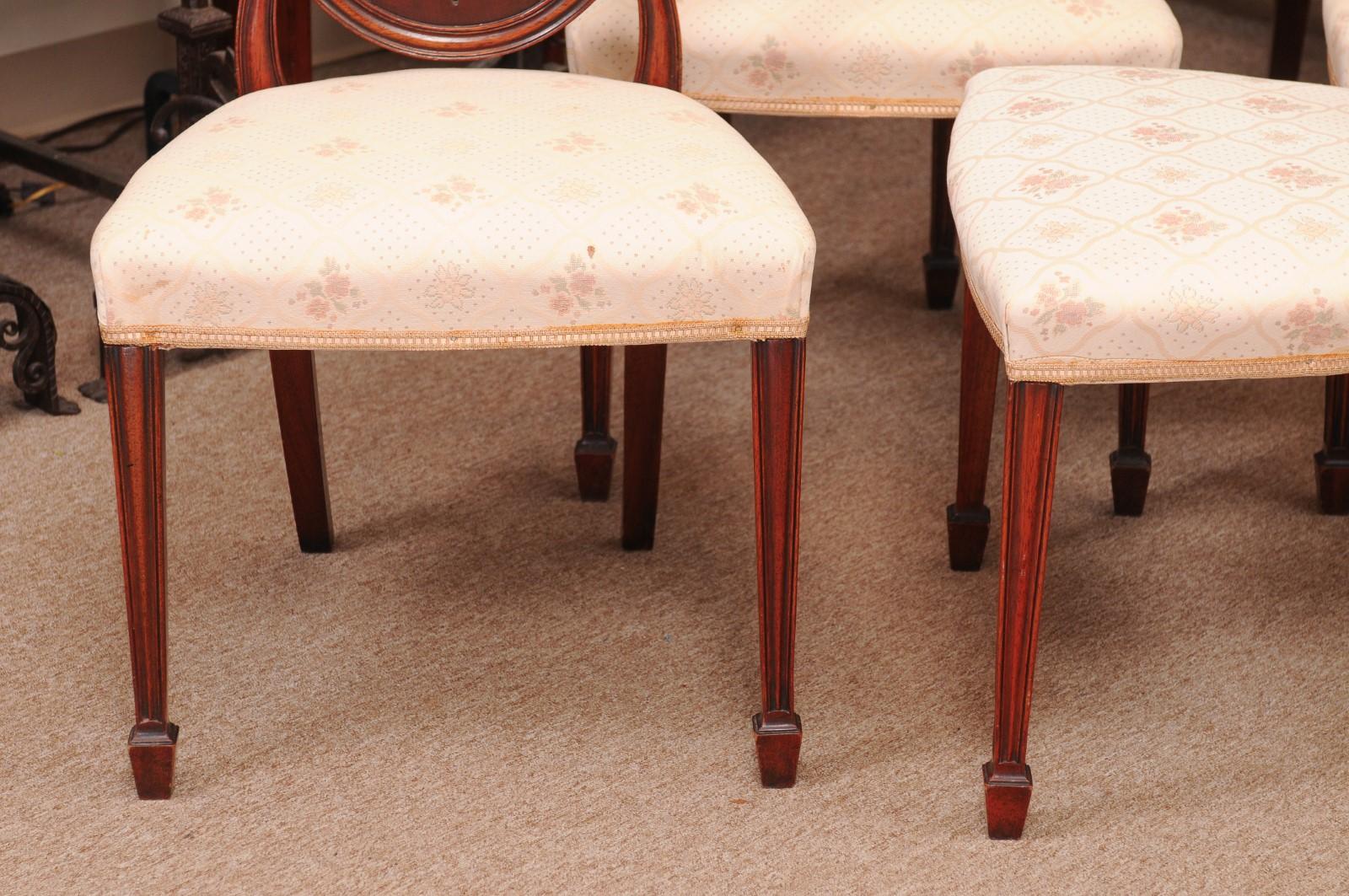 Set of 8 Sheraton Style Mahogany Shield Back Dining Chairs, Early 20th Century 12