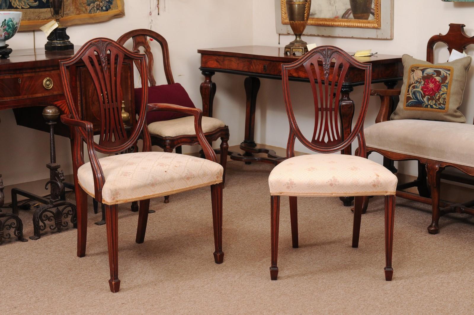 Early 20th century English Sheraton style mahogany dining chairs with shield backs and tapered legs terminating in spade feet. Set includes 2 armchairs and 6 side chairs.