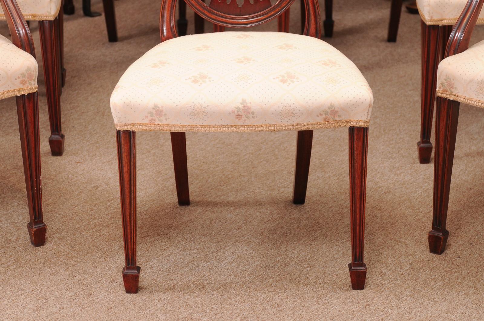 Upholstery Set of 8 Sheraton Style Mahogany Shield Back Dining Chairs, Early 20th Century