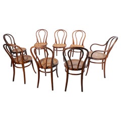 Antique Set of 8 Thonet Bentwood Dining Chairs ca. 1900- 1920's