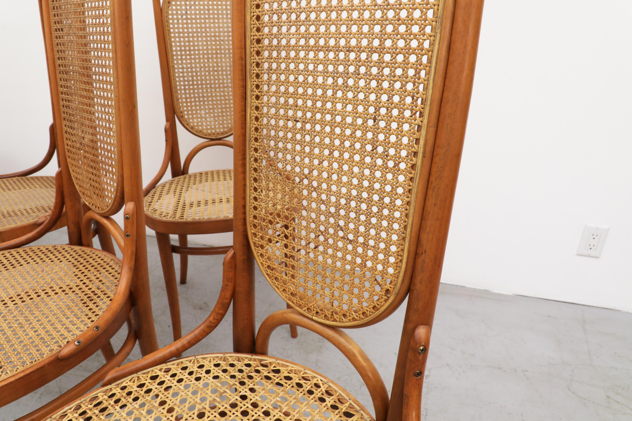 Set of 8 Thonet N.17 High Back Bentwood Chairs 5