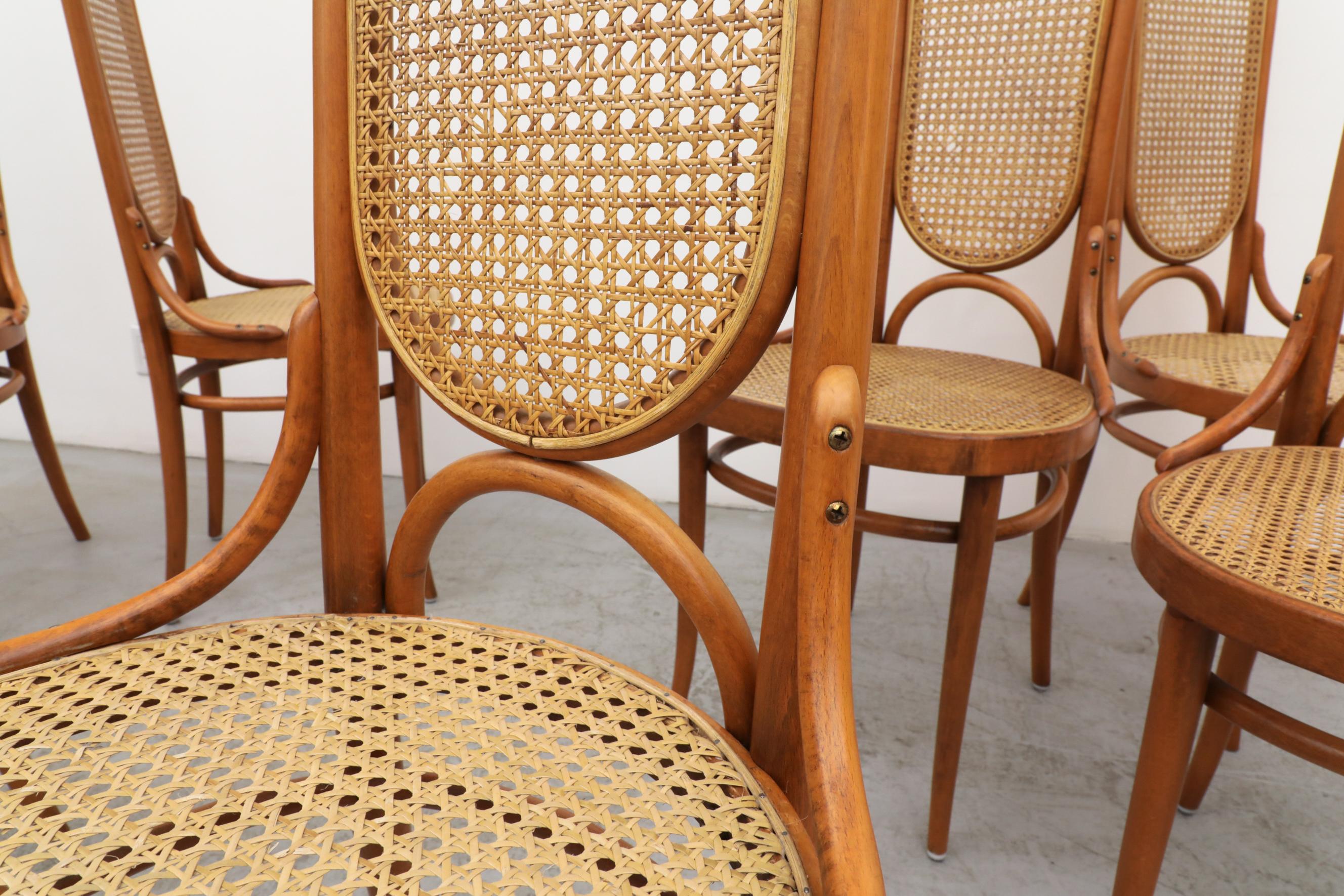 Set of 8 Thonet N.17 High Back Bentwood Chairs 7