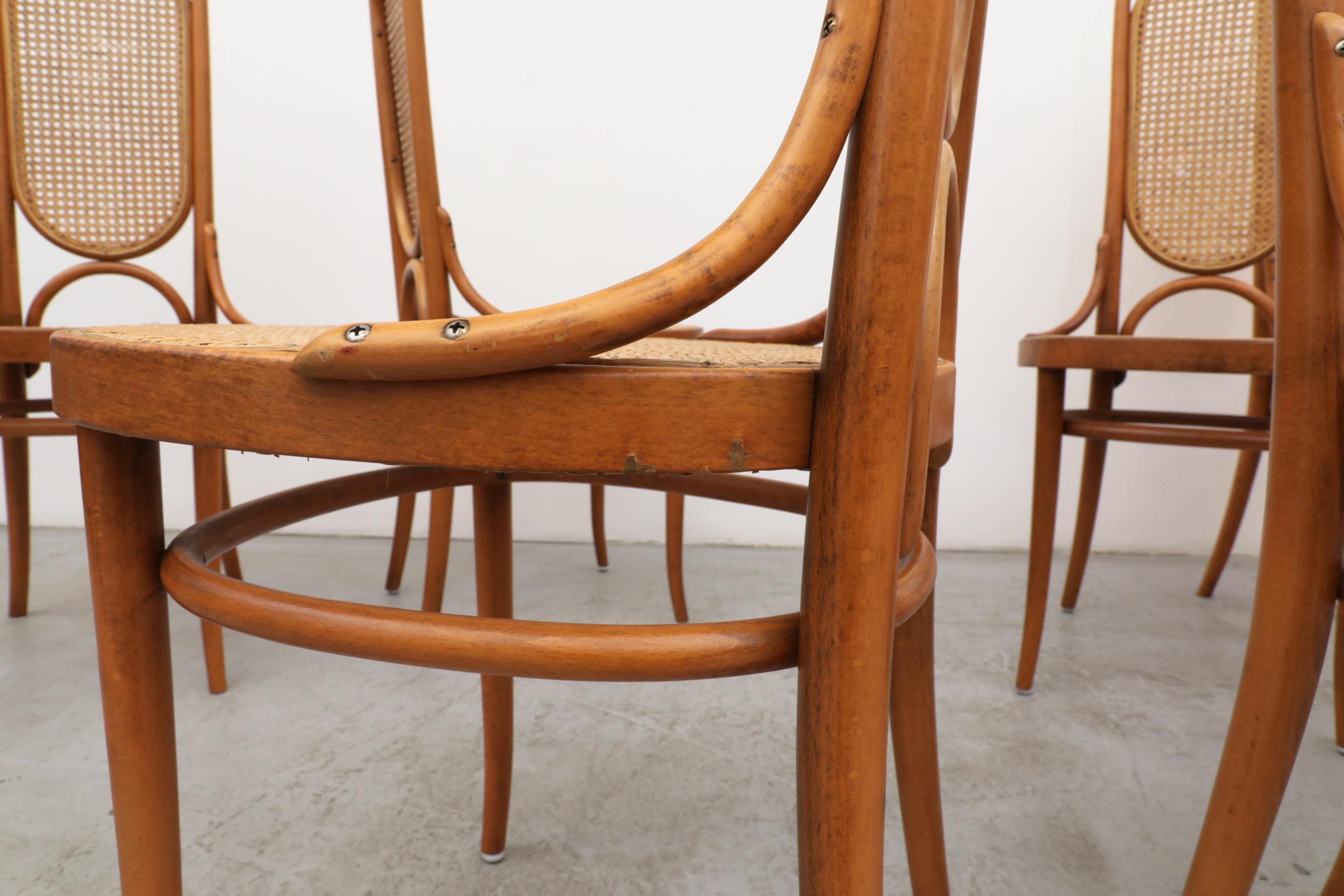 Set of 8 Thonet N.17 High Back Bentwood Chairs 10