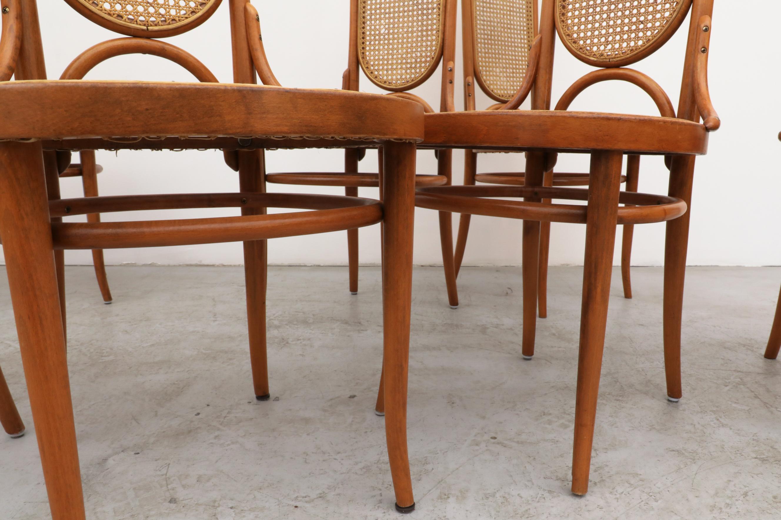 Set of 8 Thonet N.17 High Back Bentwood Chairs 11