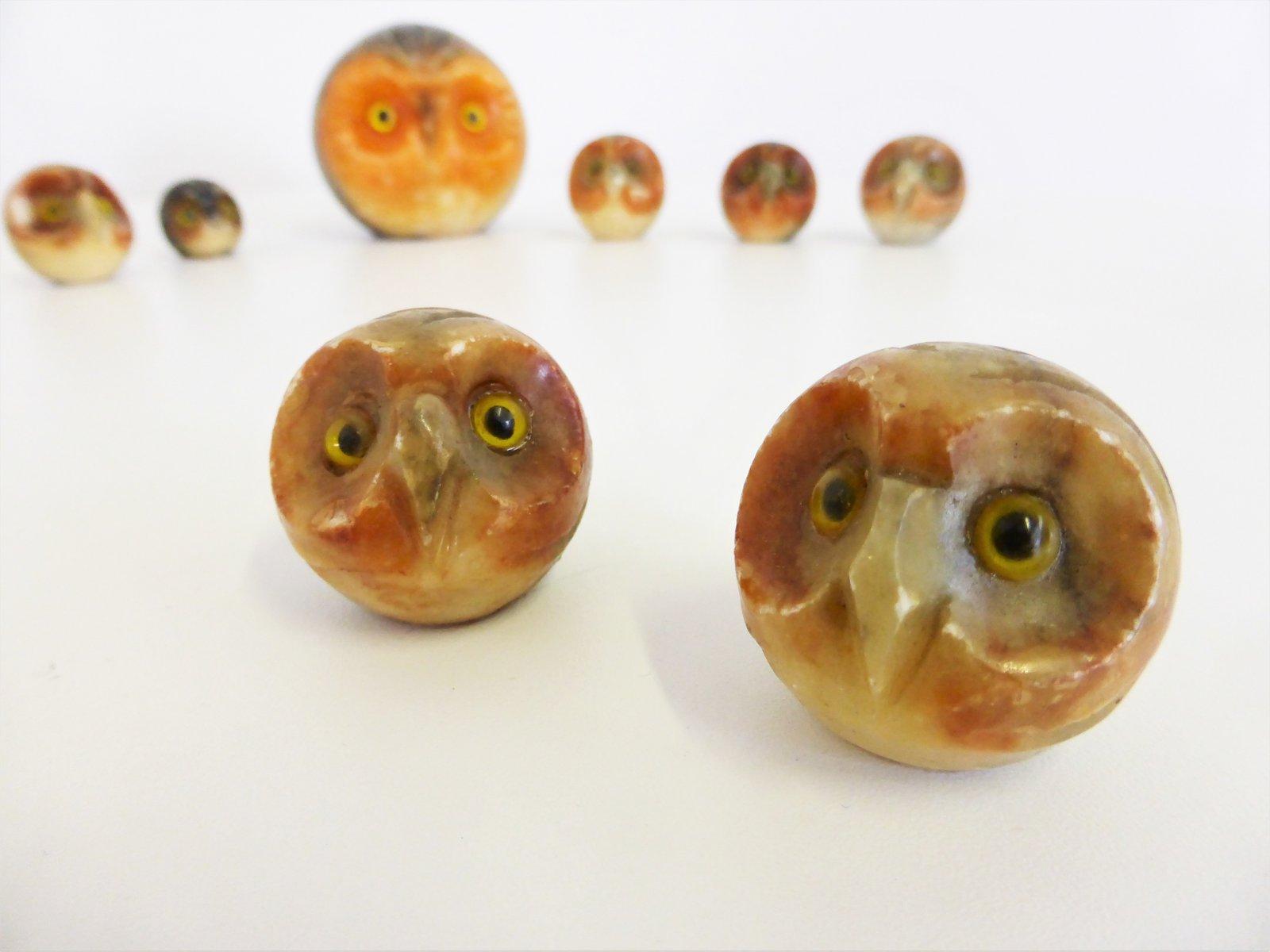 Ensemble de 8 figurines de hibou en marbre sculpté à la main dans les années 1970 - Collection décorative Mid-Century

Description du produit :
Apportez une touche de charme et de sophistication à votre intérieur avec ce ravissant ensemble de 8