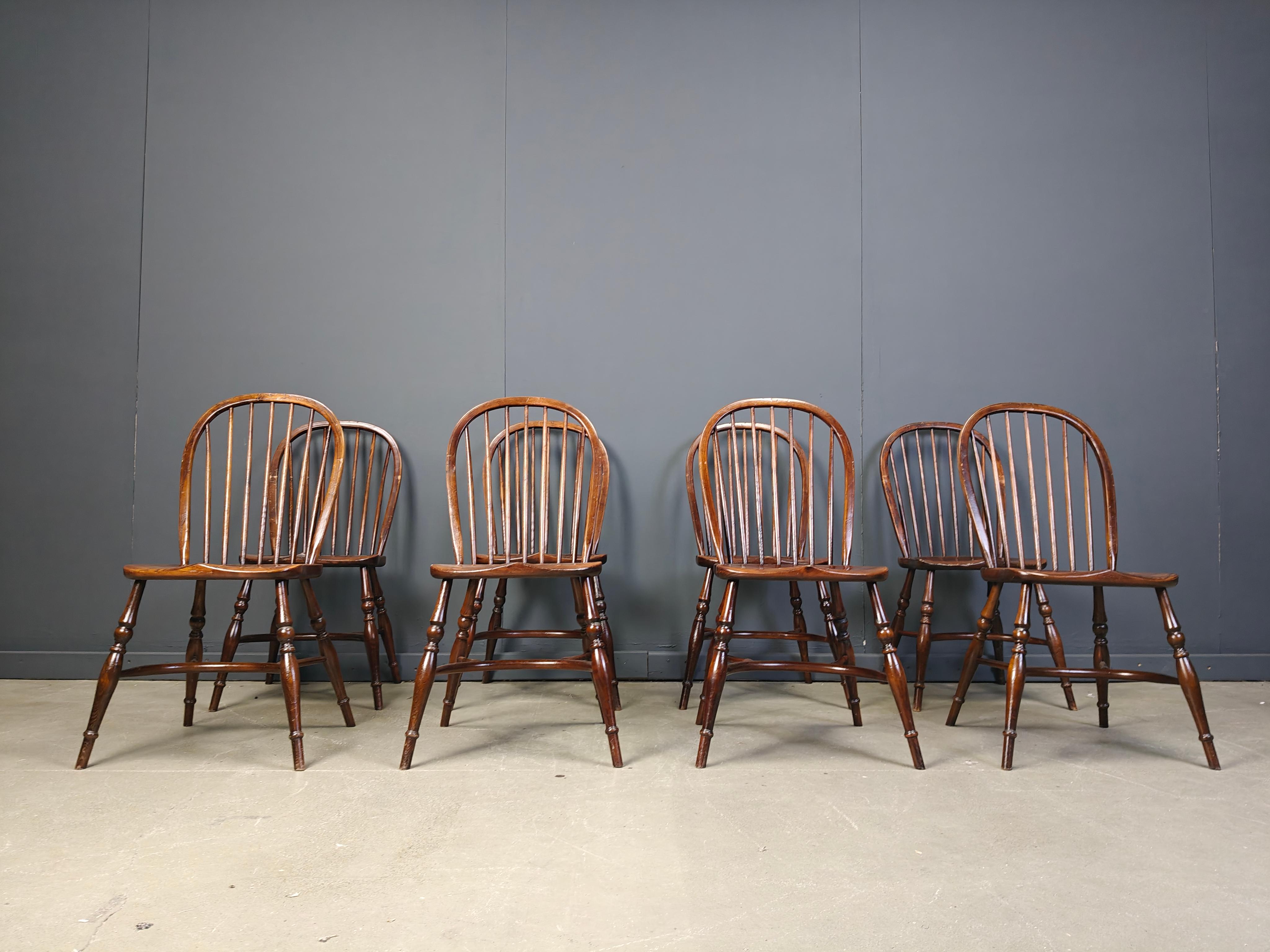 Set di 8 Vintage  Sedie da pranzo Ercol, anni '50 in vendita 2