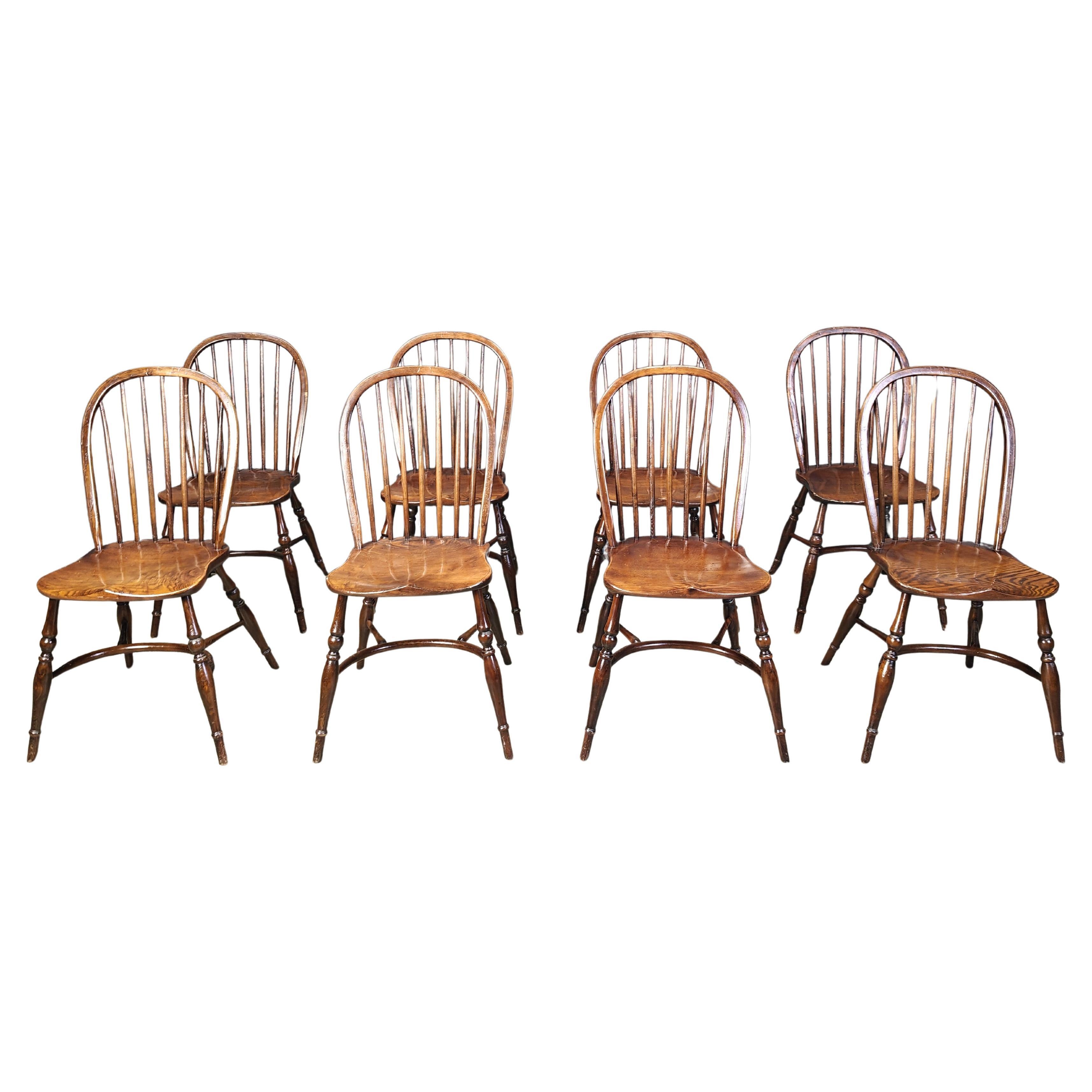 Set di 8 Vintage  Sedie da pranzo Ercol, anni '50