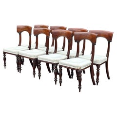 Set of 8 William IV Period Mahogany Dining Chairs, Circa 1835