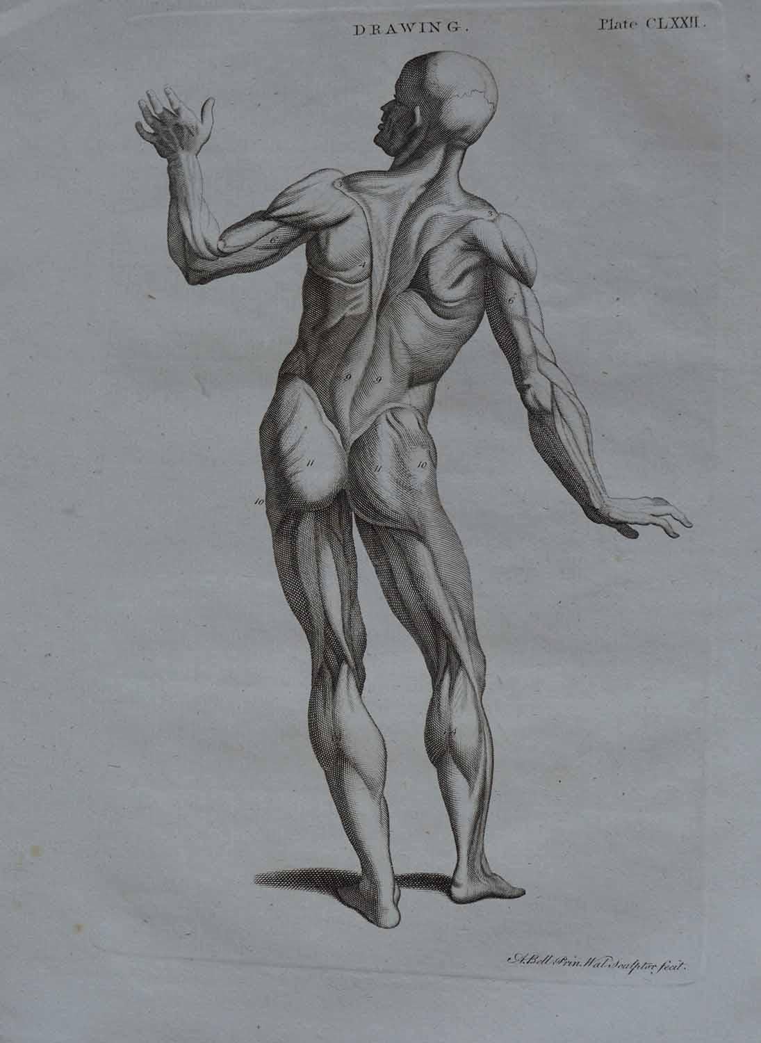 Wonderful set of 9 copper-plate engravings. 

Drawn and engraved by A.Bell.

Published circa 1790

Unframed.

Free shipping.
