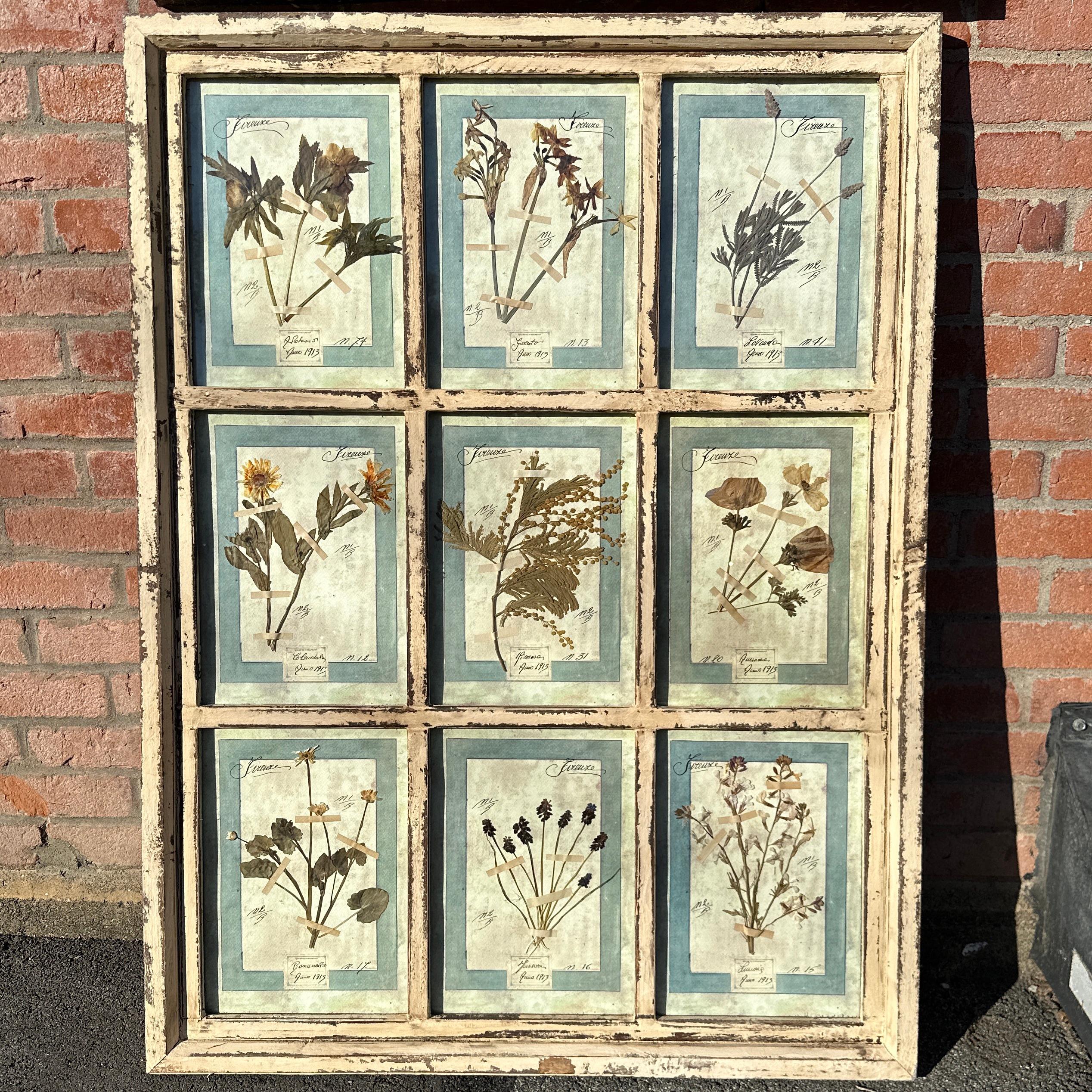 Set di 9 stampe floreali antiche - CIRCA 1913, Firenze, Italia Set 2 3