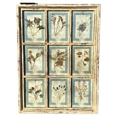 Set di 9 stampe floreali antiche - CIRCA 1913, Firenze, Italia Set 2