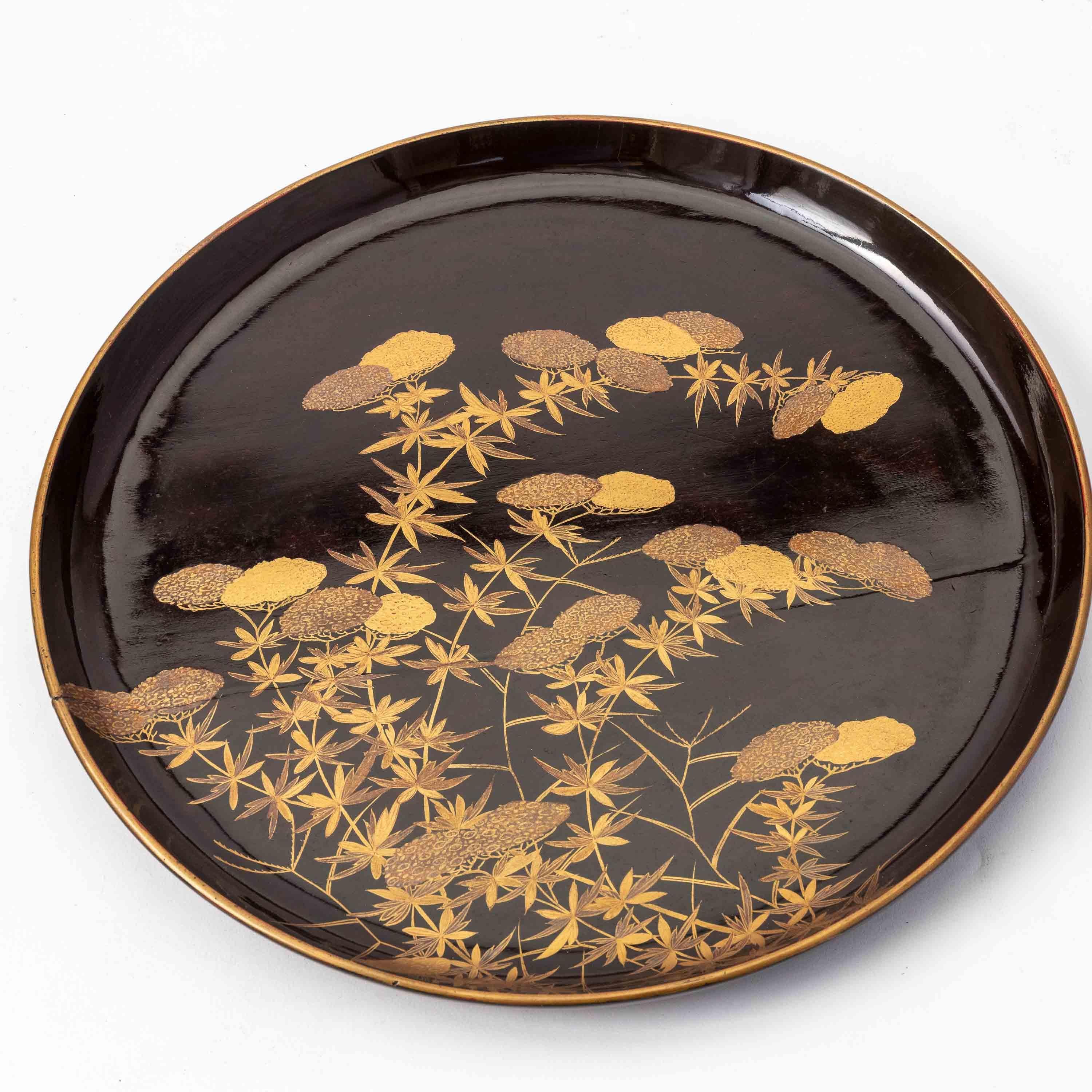 Set of 9 Antique Japanese Circular Lacquer Trays with Botanical Designs in Gold 1