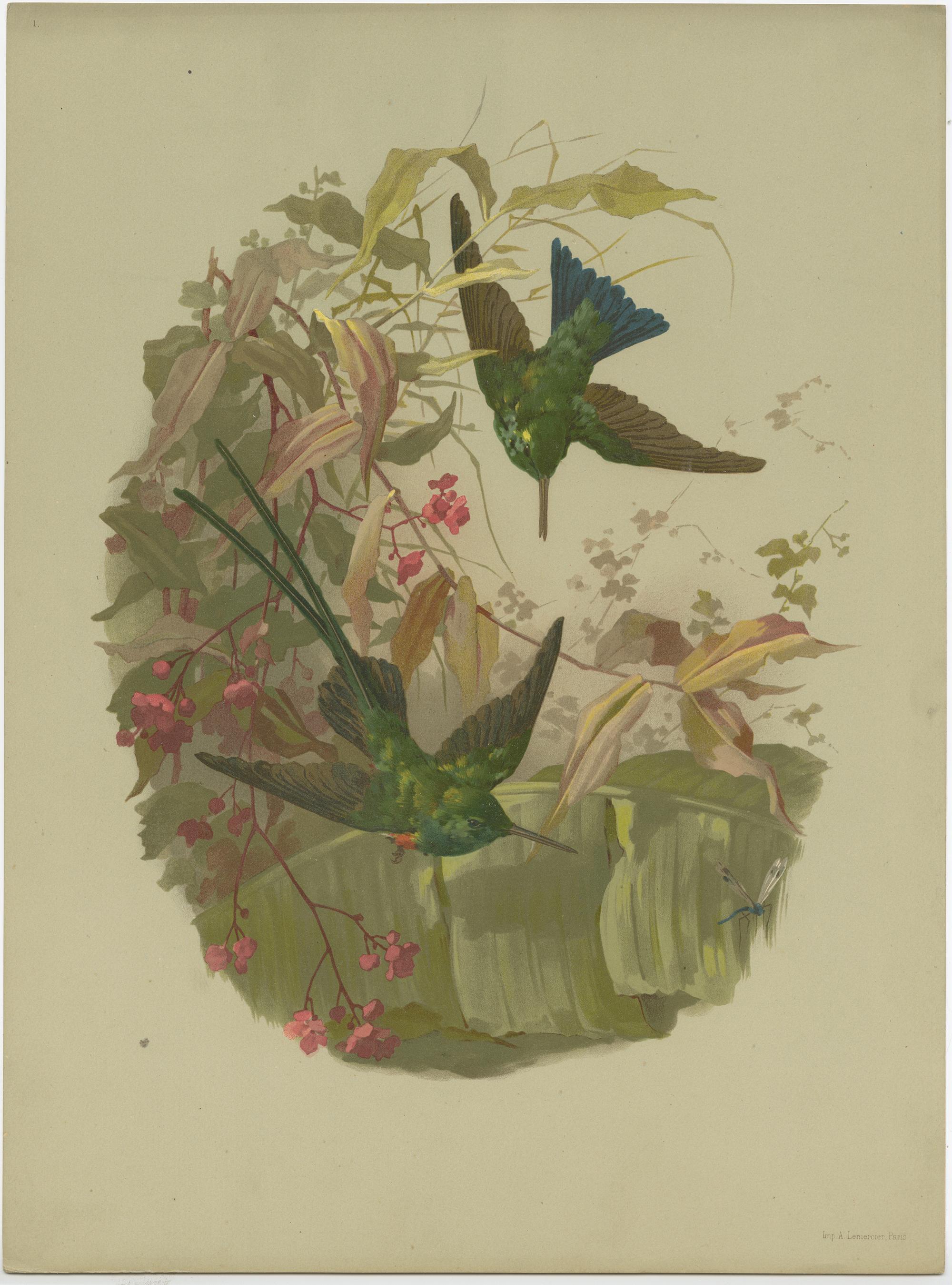 Set of 9 Antique Prints of various Birds, Plants and Trees by Lemercier 'c.1890' For Sale 3