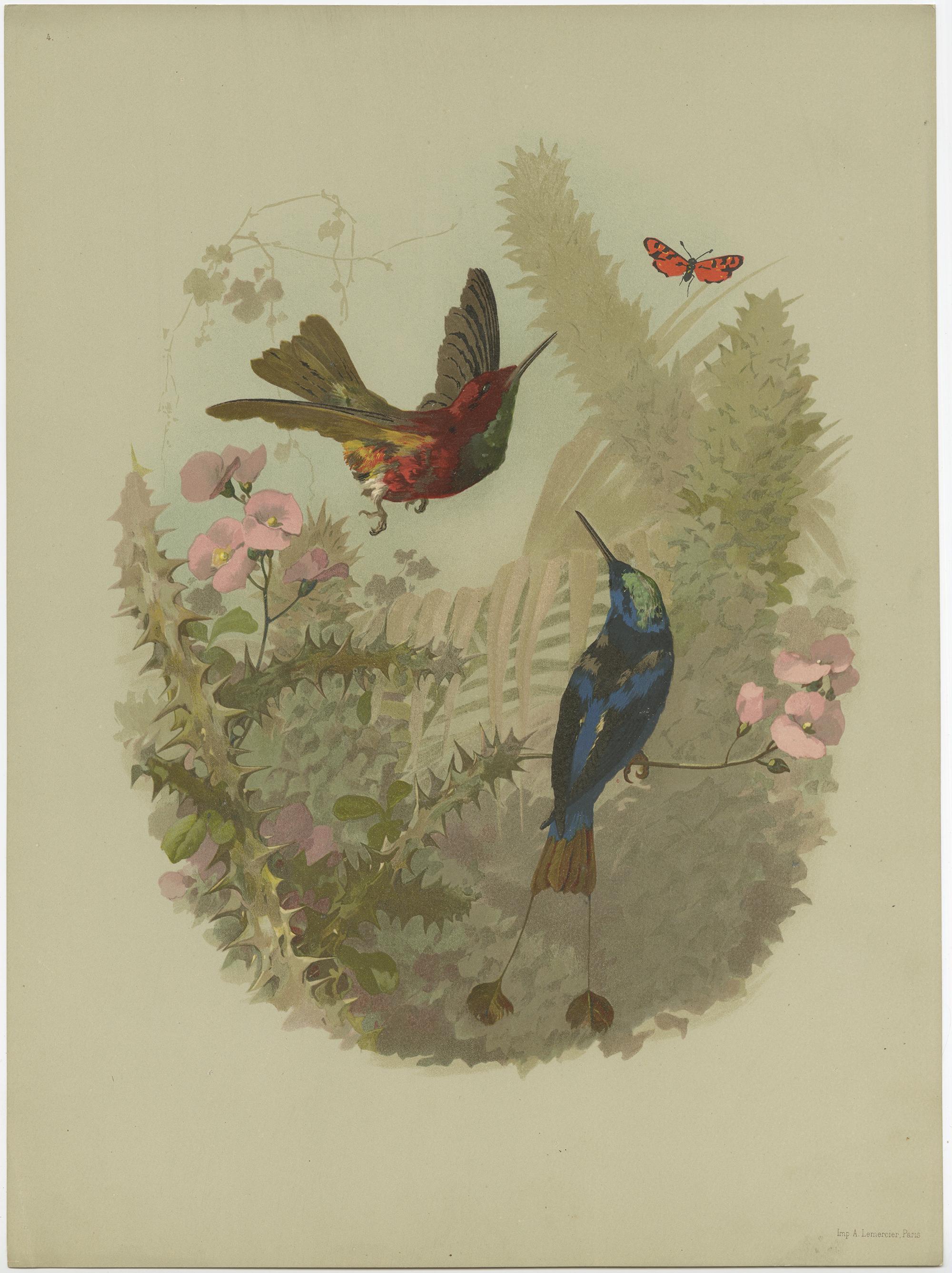 Set of 9 Antique Prints of various Birds, Plants and Trees by Lemercier 'c.1890' For Sale 4