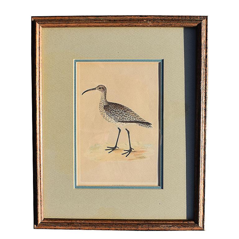 Set of 9 Framed Art Water Bird Set of Prints 1900s In Good Condition In Oklahoma City, OK