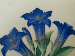 Set di 9 piastrelle in ceramica con motivi botanici dipinte a mano, Meissen, Germania, intorno al 1960