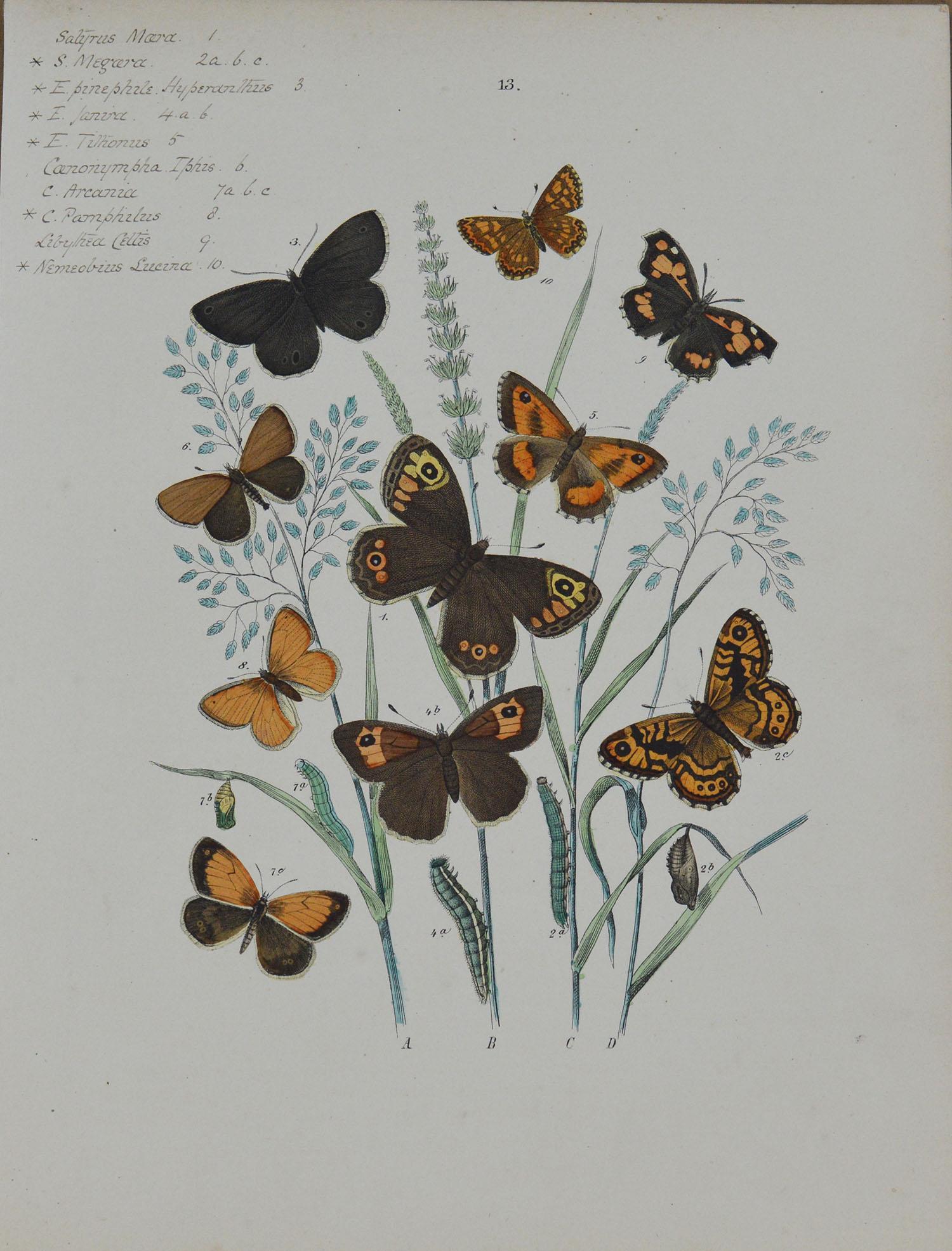 Set of 9 Original Antique Prints of Butterflies, circa 1870 In Good Condition In St Annes, Lancashire