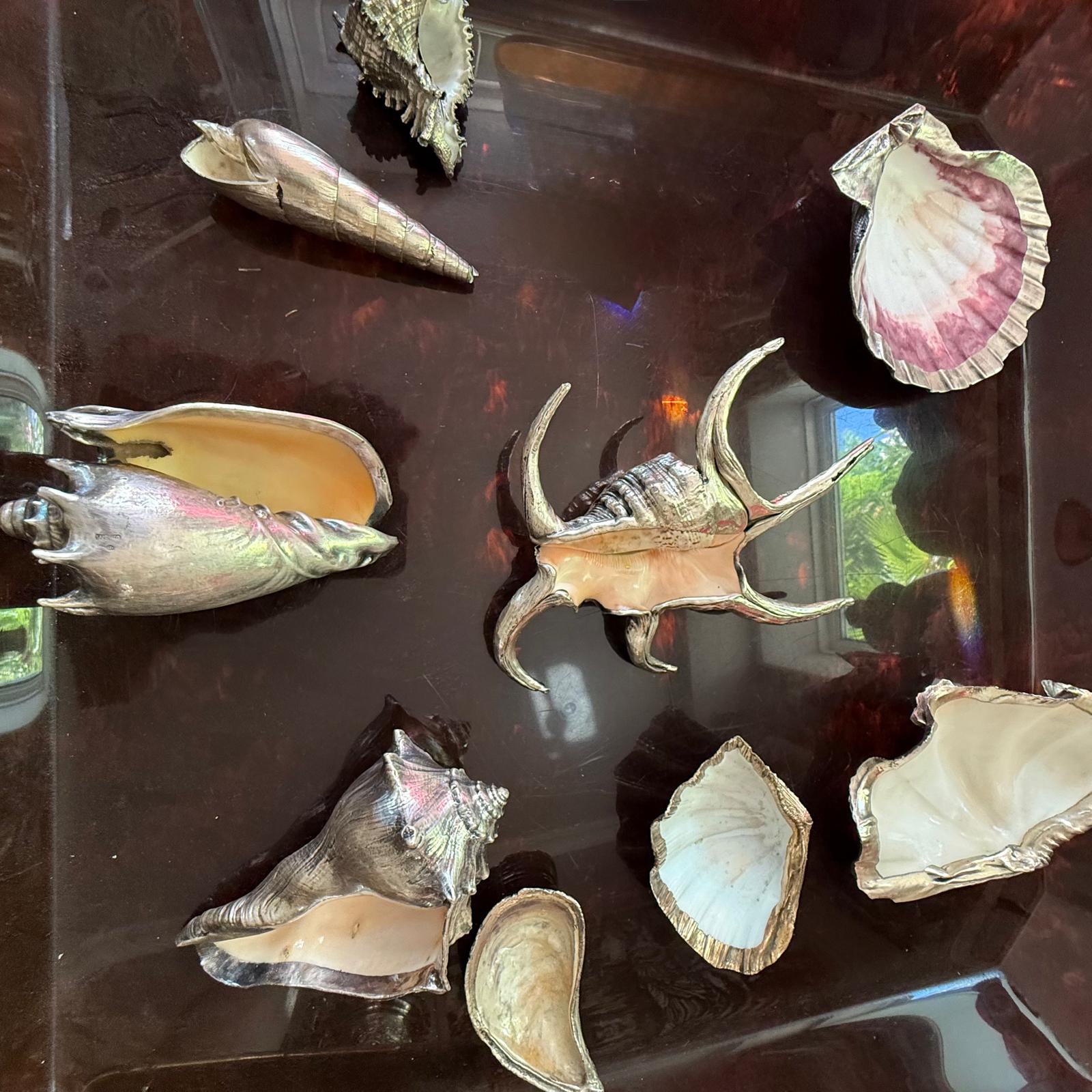 Buccellati style set of 9 silvered seashells largest 20cm. wide, 13cm. deep, 8cm. tall
Smalest one 9cm. wide, 7cm. tall and 7cm. deep. Italian c.70's
