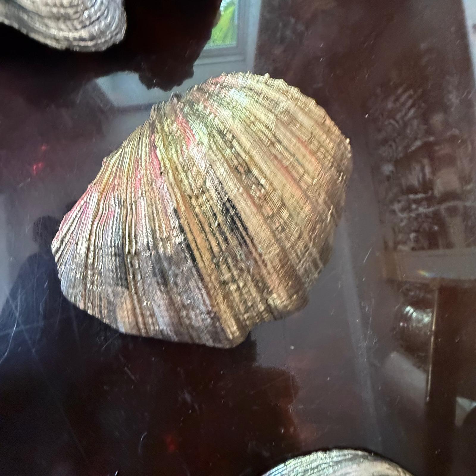 Set Of 9 silver coated shells In The Style Of Buccellati. Italian c.1970's In Good Condition For Sale In London, GB
