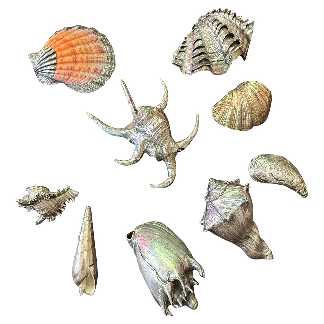 Set Of 9 silver coated shells In The Style Of Buccellati. Italian c.1970's For Sale